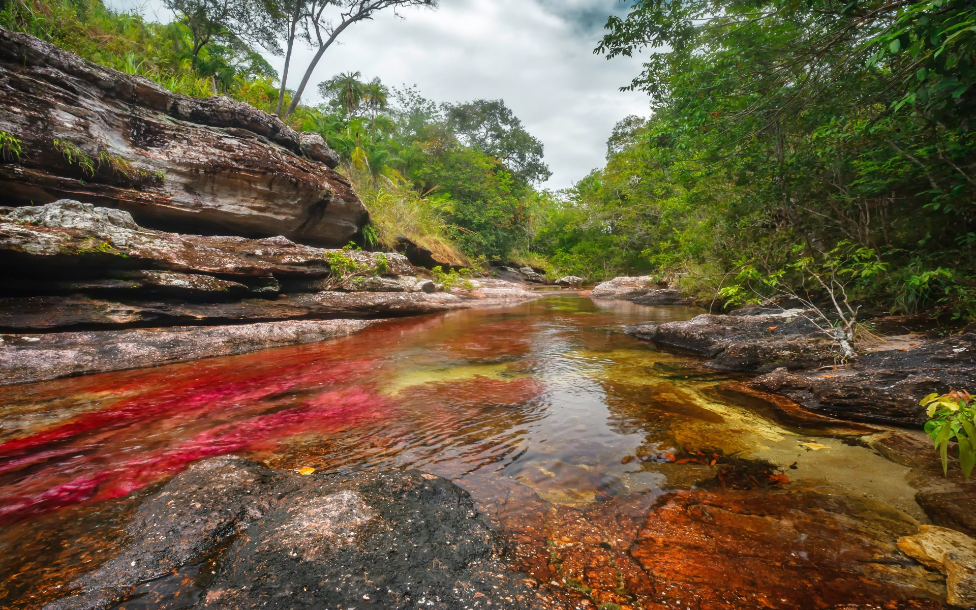 641144 Bild herunterladen erde/natur, caño cristales - Hintergrundbilder und Bildschirmschoner kostenlos