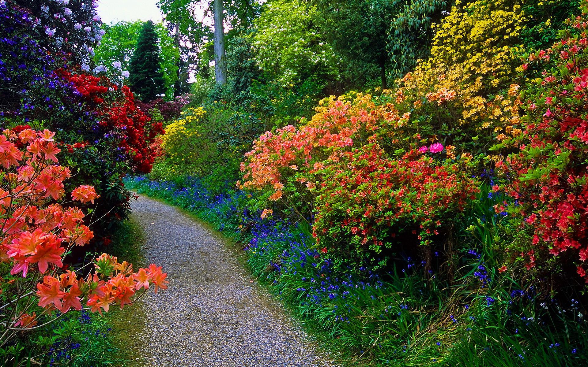 Download mobile wallpaper Flower, Plant, Path, Garden, Colorful, Man Made for free.