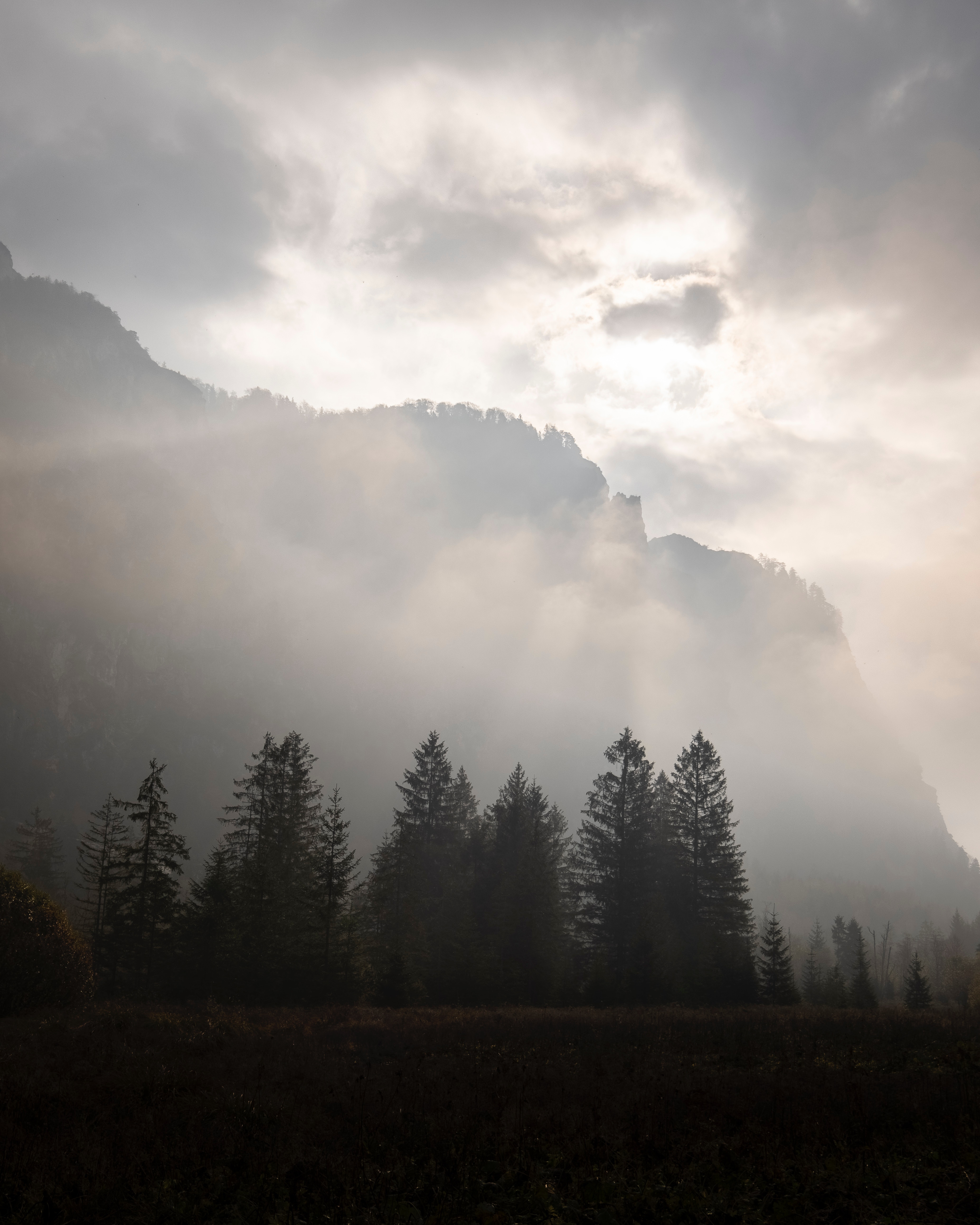 Téléchargez des papiers peints mobile Brouillard, Nature, Sky, Sombre, Arbres, Montagnes gratuitement.