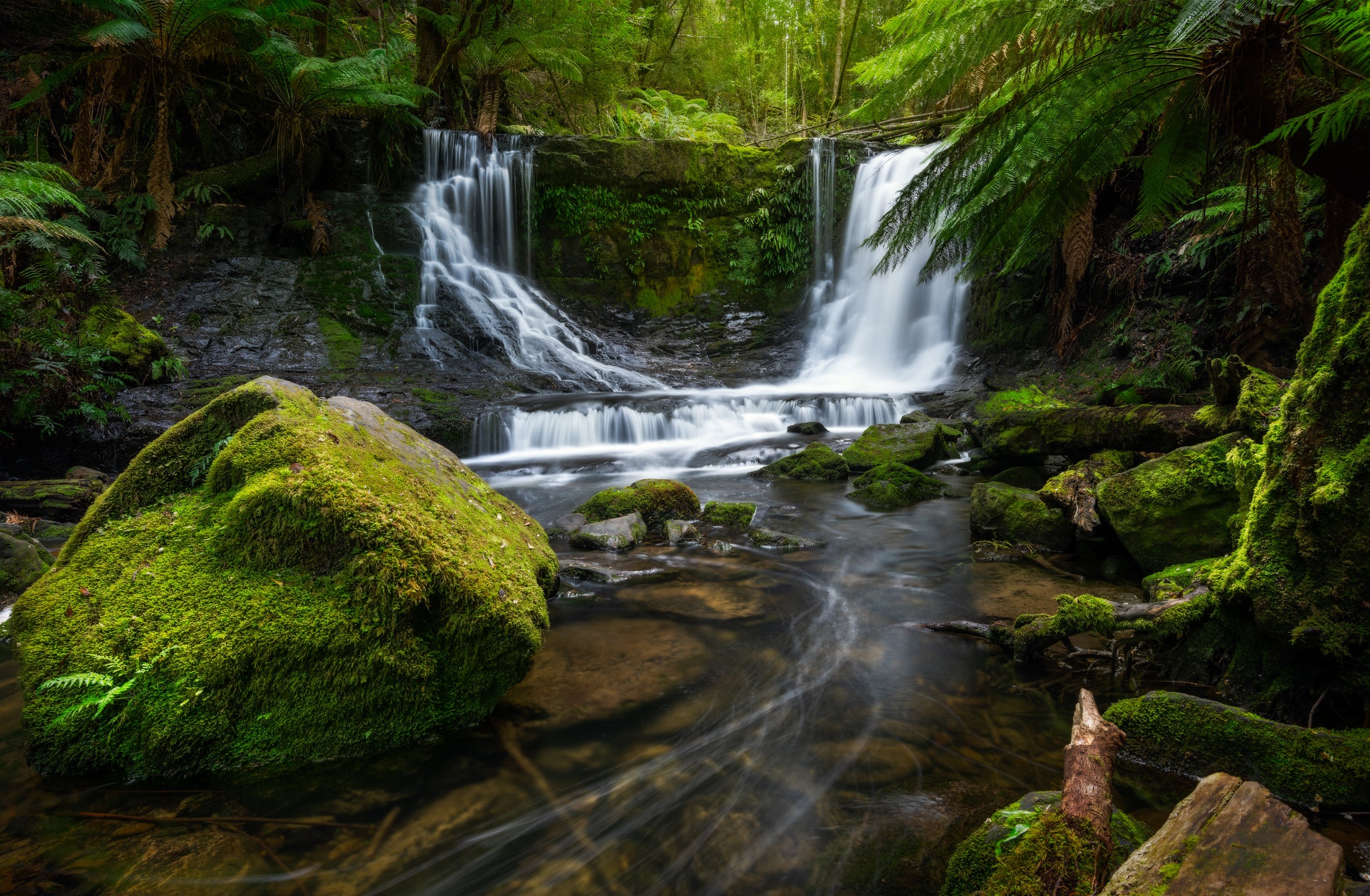 Download mobile wallpaper Nature, Waterfalls, Waterfall, Fern, Earth, Moss, Stream for free.