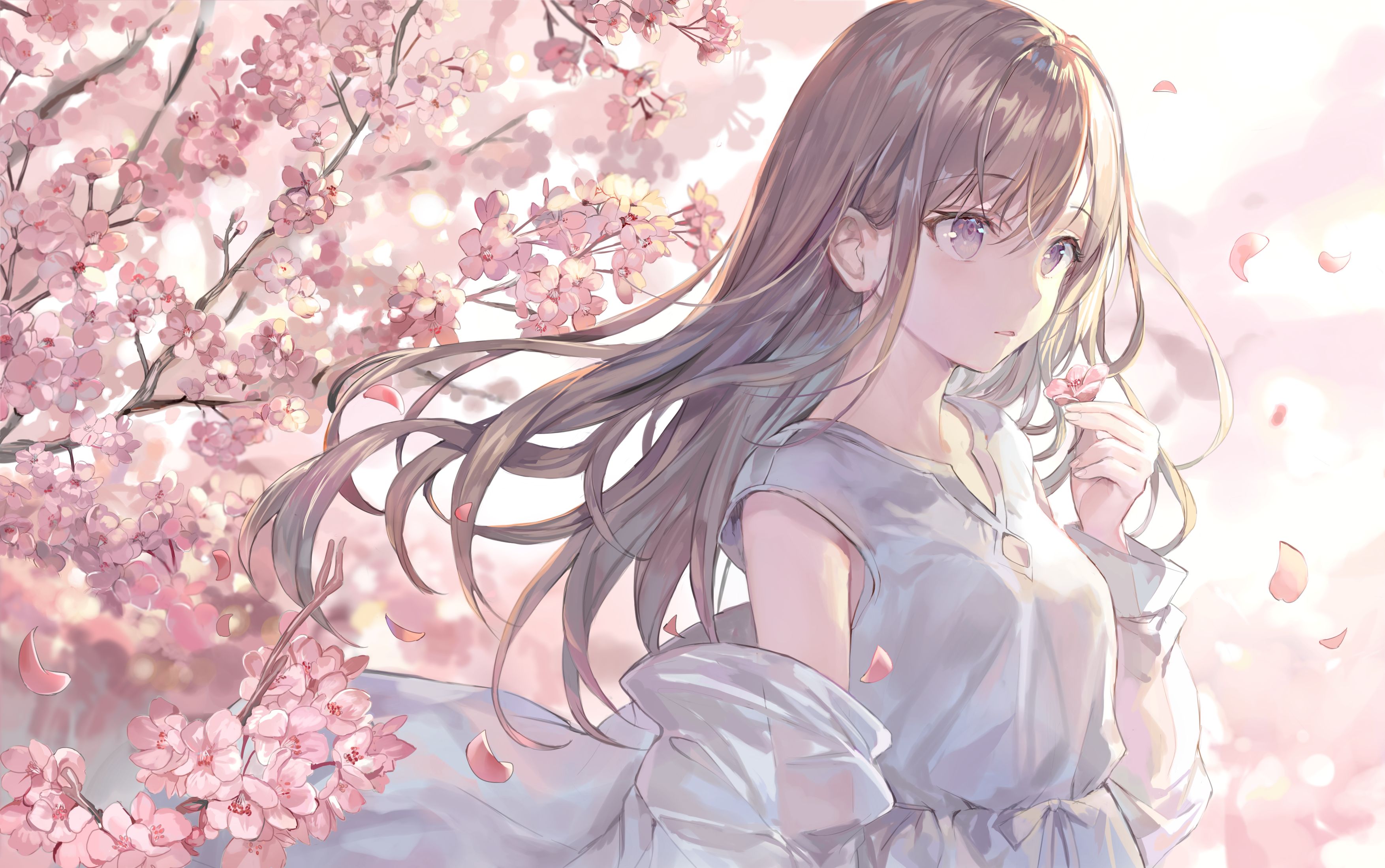 PCデスクトップに桜の花, 長い髪, アニメ, 茶髪, オリジナル画像を無料でダウンロード