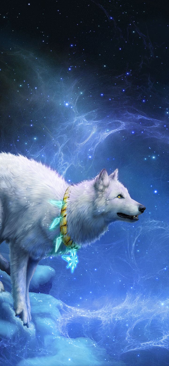 Descarga gratuita de fondo de pantalla para móvil de Fantasía, Cielo, Estrellas, Lobo, Animales De Fantasía.