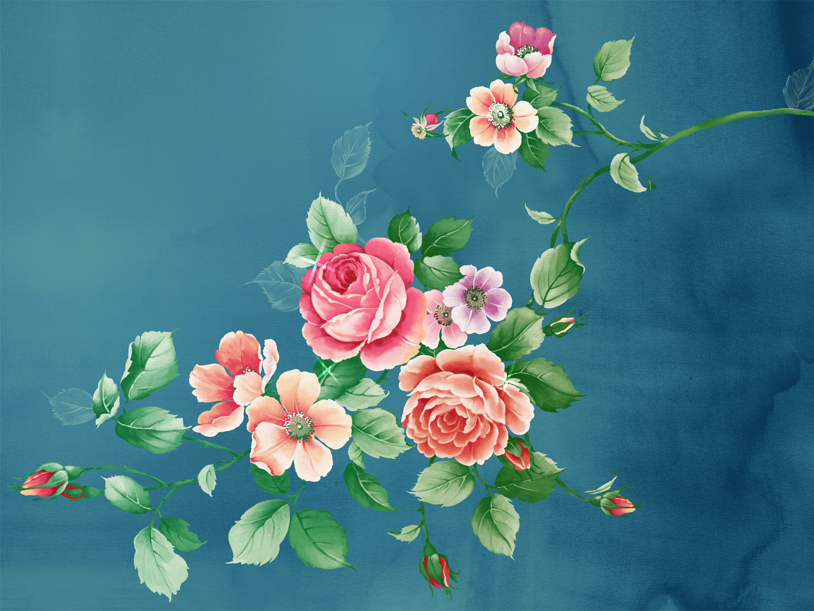 plants, pictures, roses, flowers, turquoise Full HD