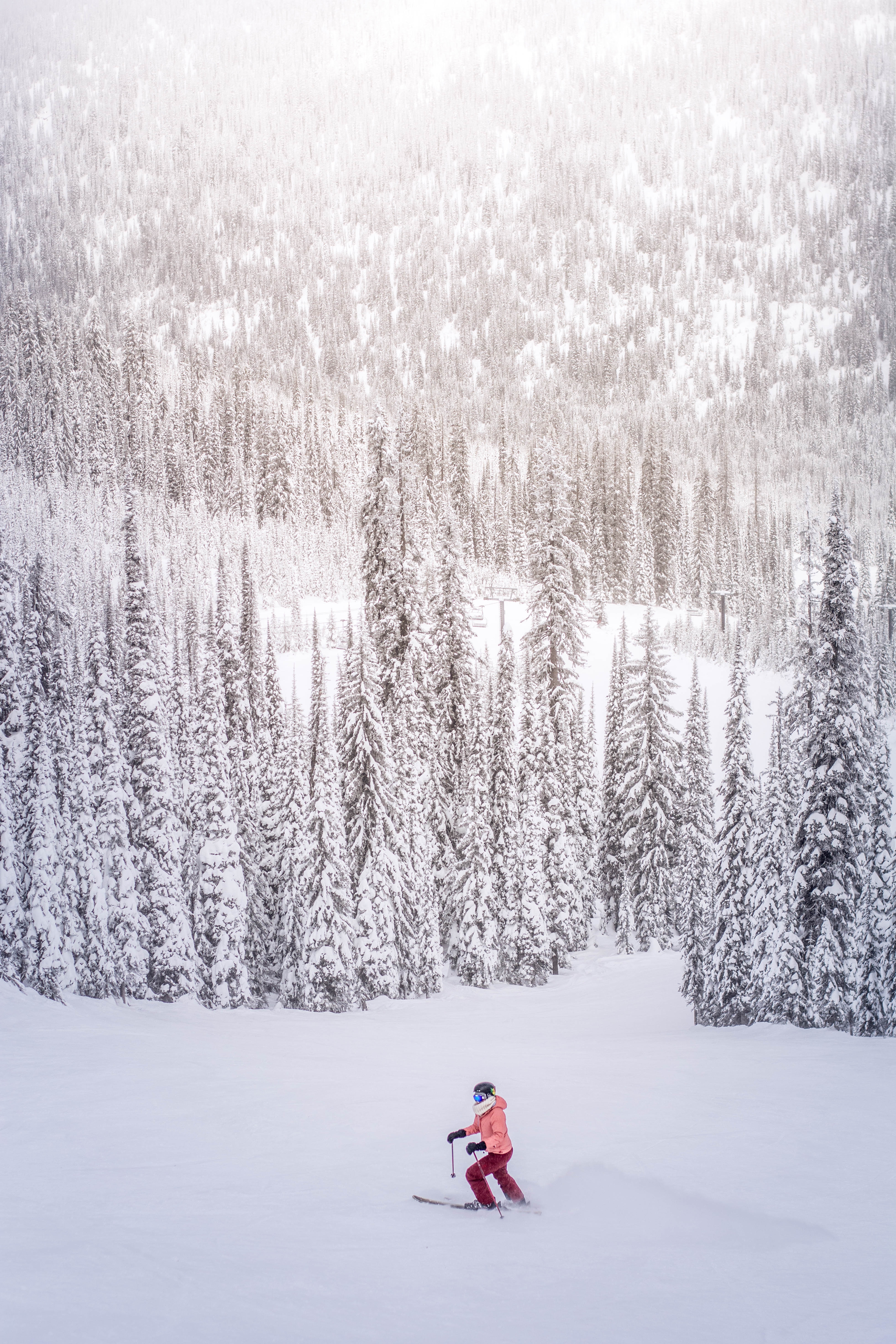 156296 Bild herunterladen sport, winter, bäume, schnee, schneebedeckt, snowbound, skifahrer - Hintergrundbilder und Bildschirmschoner kostenlos