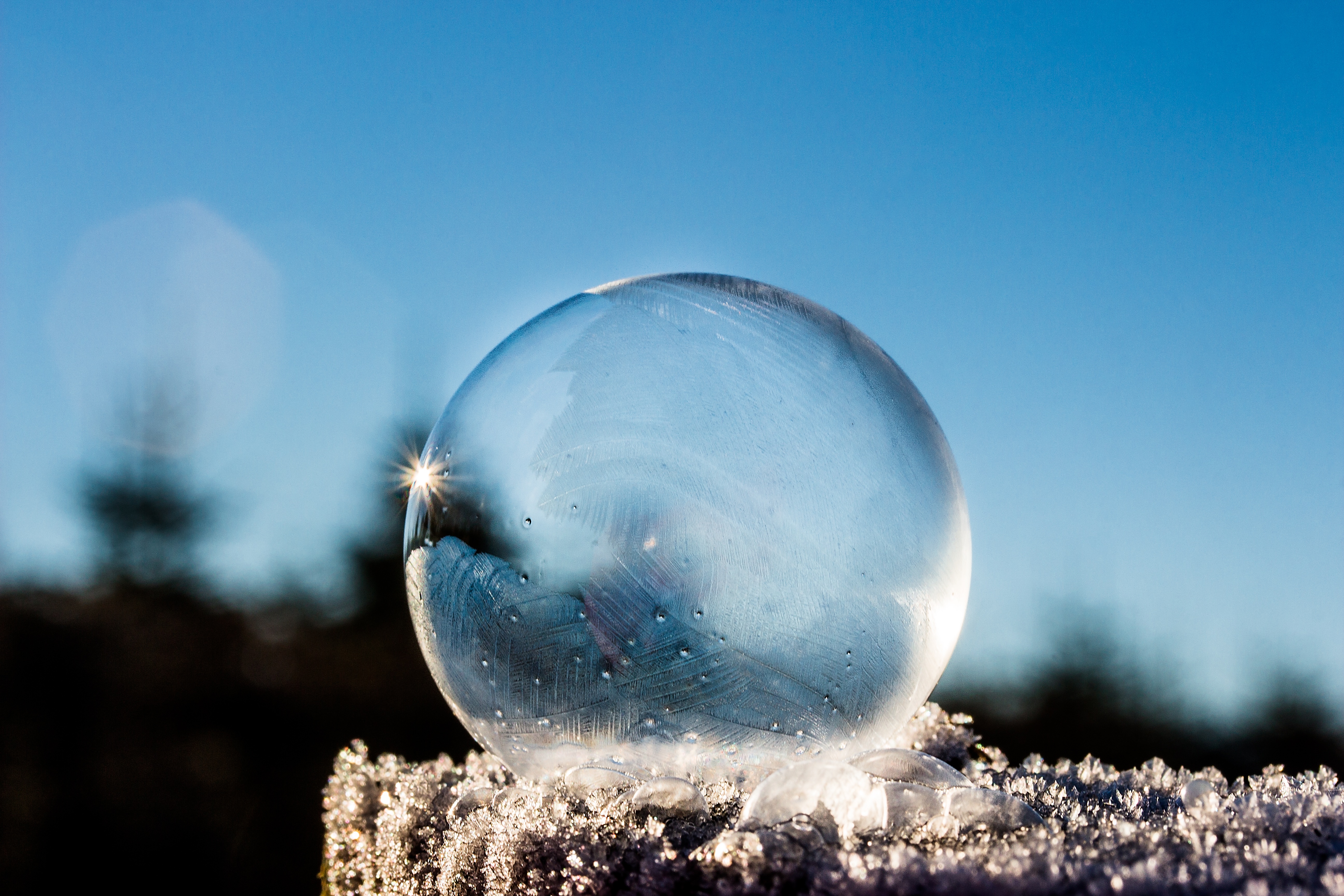 Download mobile wallpaper Frost, Macro, Ball, Hoarfrost for free.