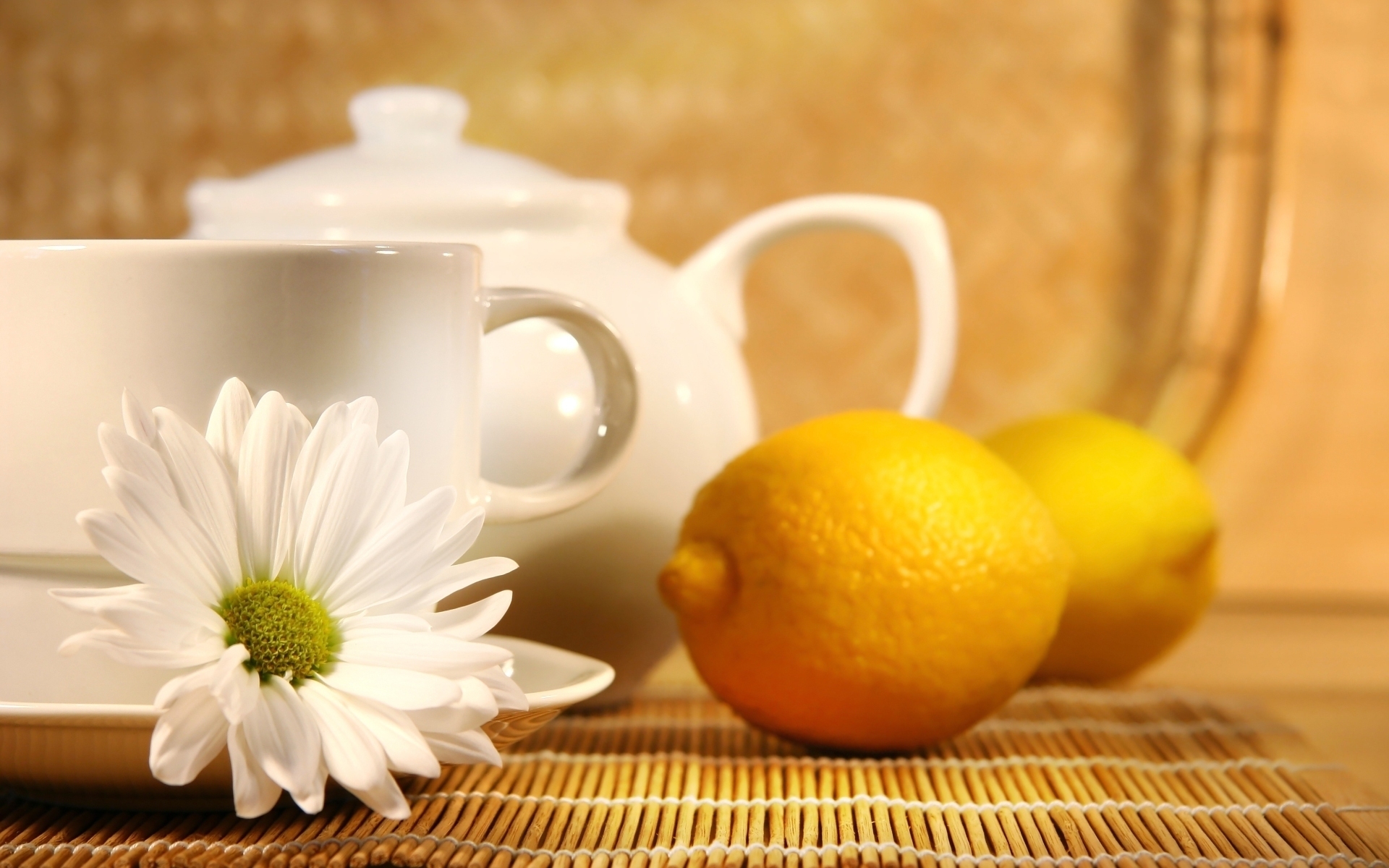 Download mobile wallpaper Camomile, Lemons, Objects for free.