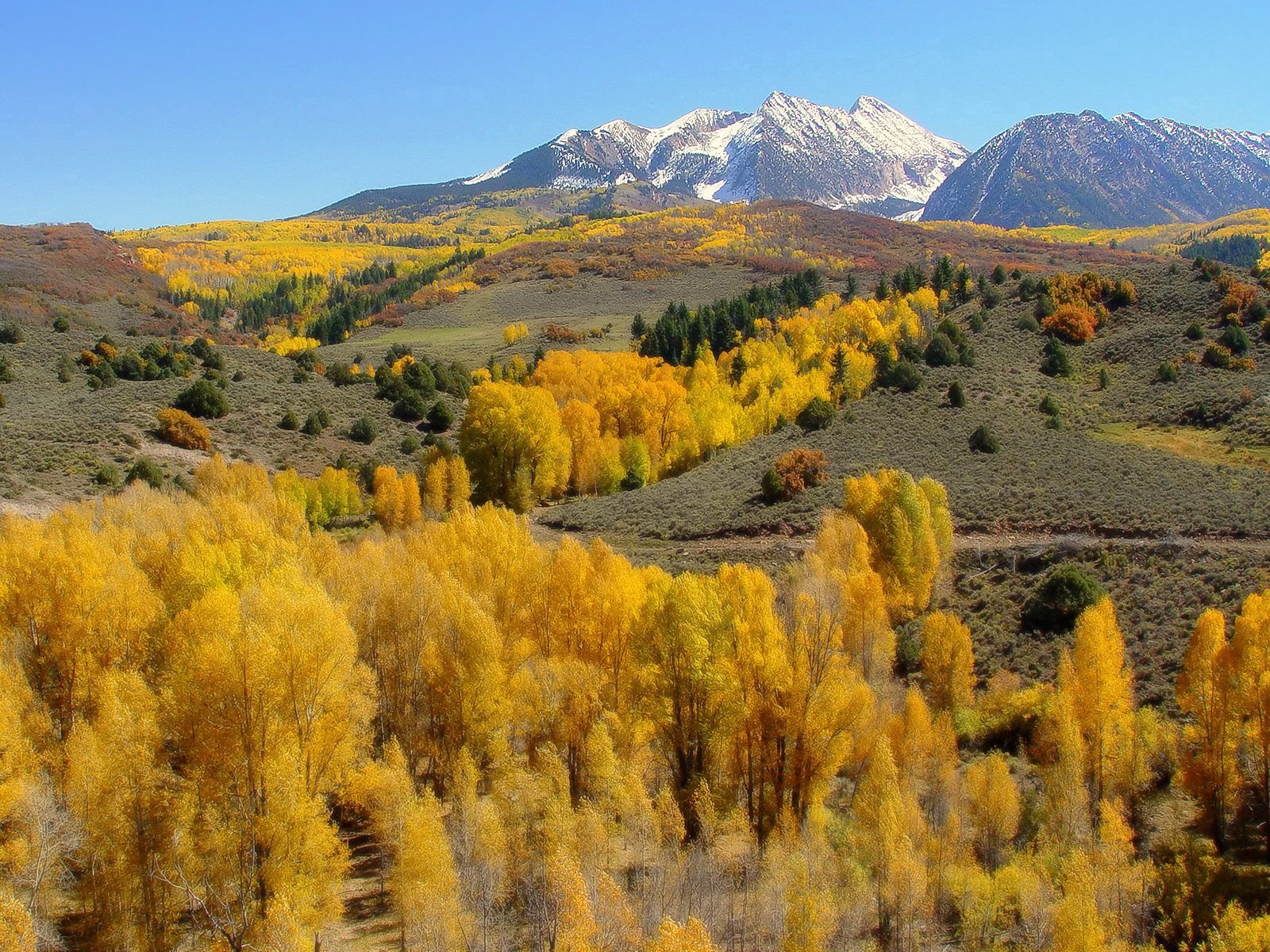 98115 скачать картинку осень, природа, деревья, горы, желтые, склоны - обои и заставки бесплатно