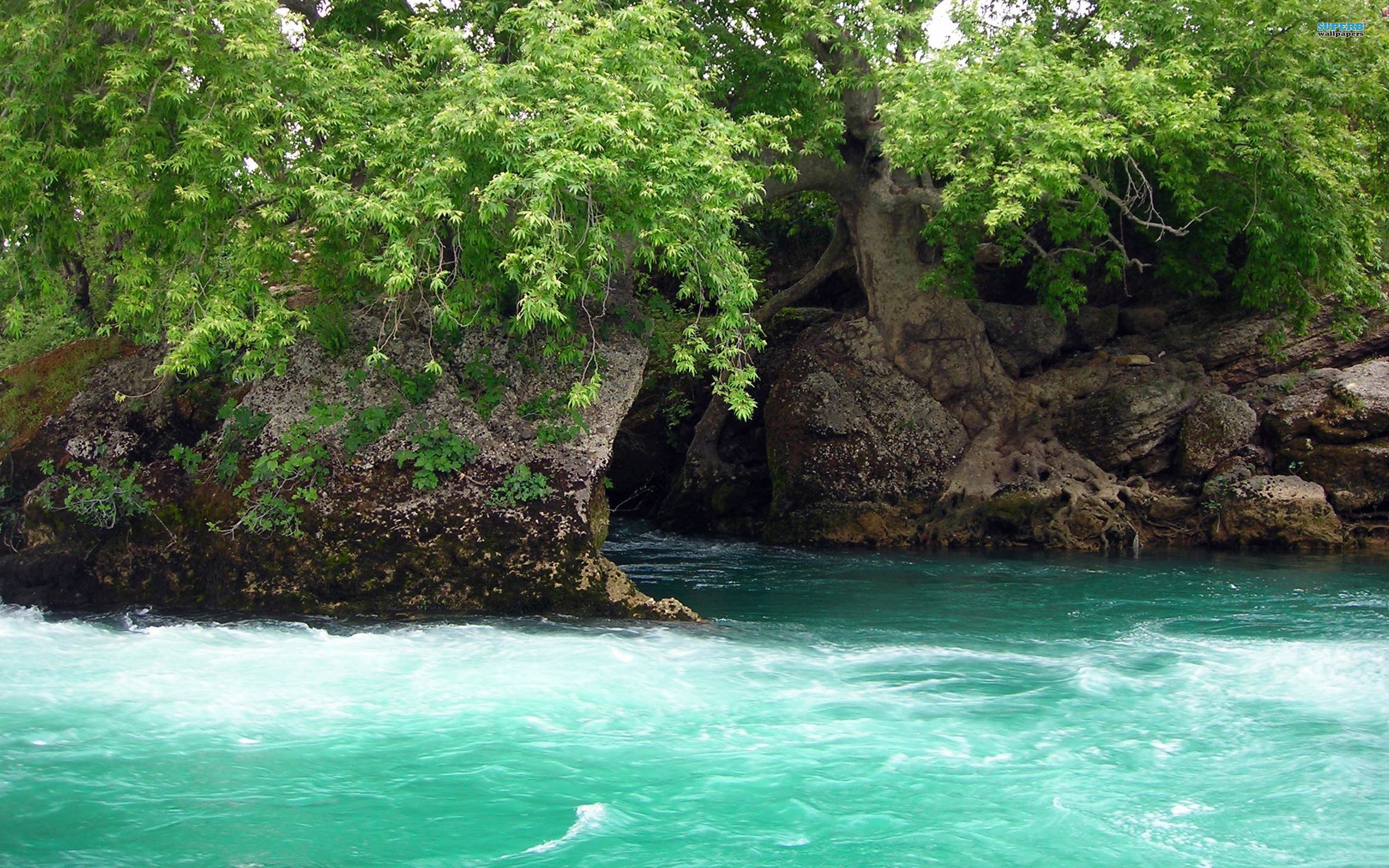 Handy-Wallpaper Natur, Wasser, Erde/natur kostenlos herunterladen.