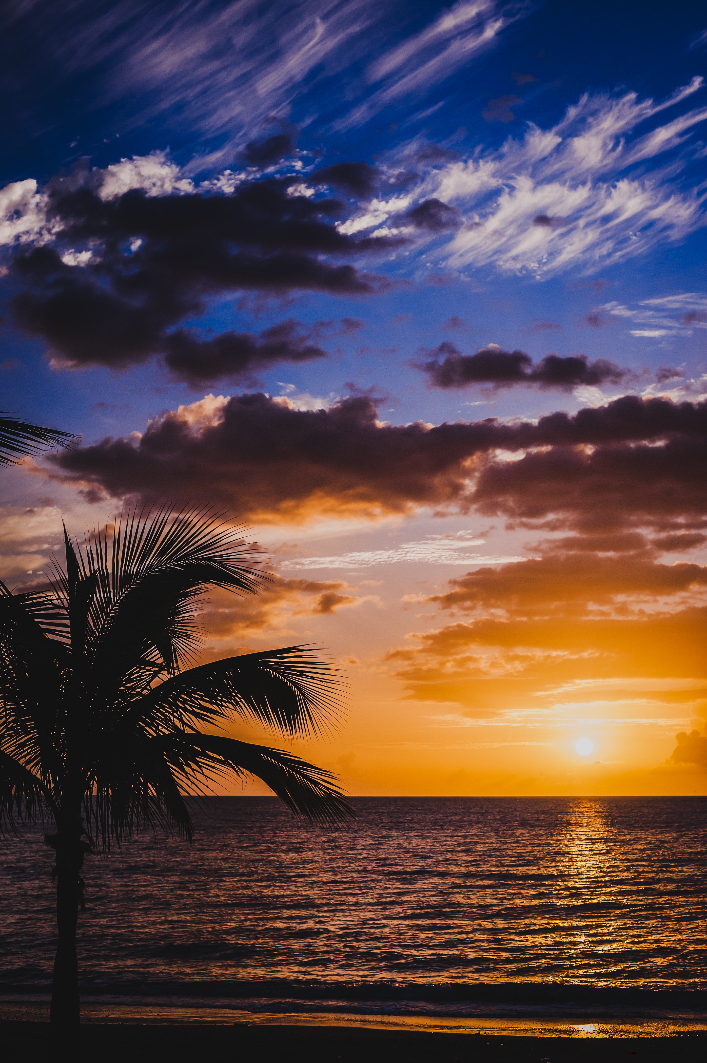 Laden Sie das Natur, Surfen, Palm, Sunset, Sky, Clouds, Horizont, Palme, Sea-Bild kostenlos auf Ihren PC-Desktop herunter