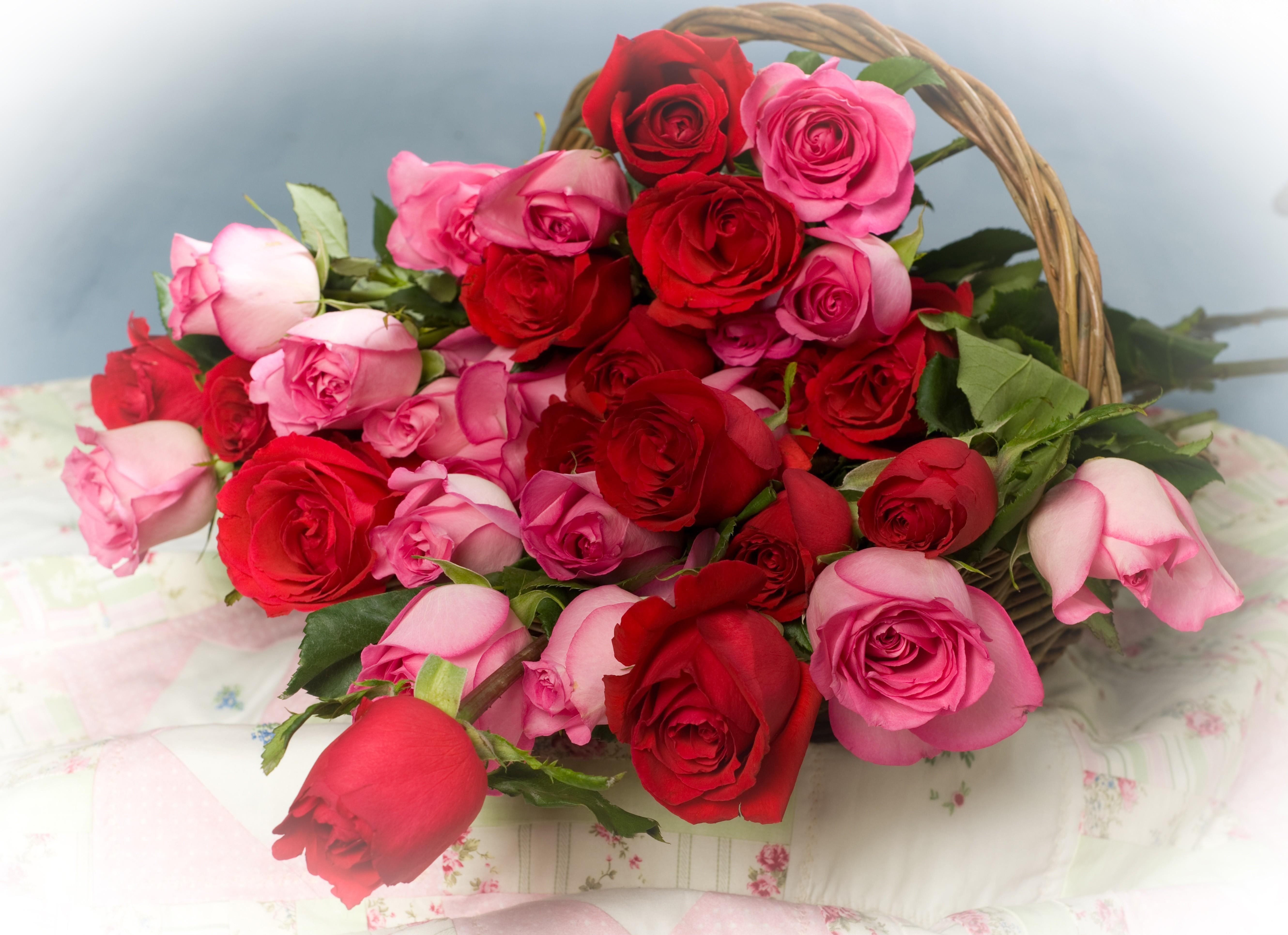 Laden Sie das Viel, Korb, Blumen, Roses-Bild kostenlos auf Ihren PC-Desktop herunter