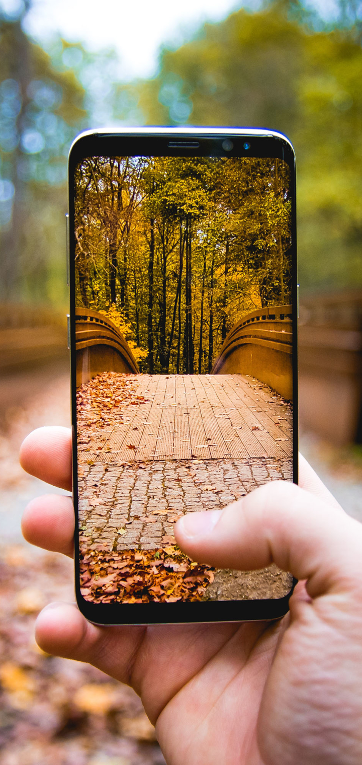 Descarga gratuita de fondo de pantalla para móvil de Naturaleza, Tecnología, Teléfono.