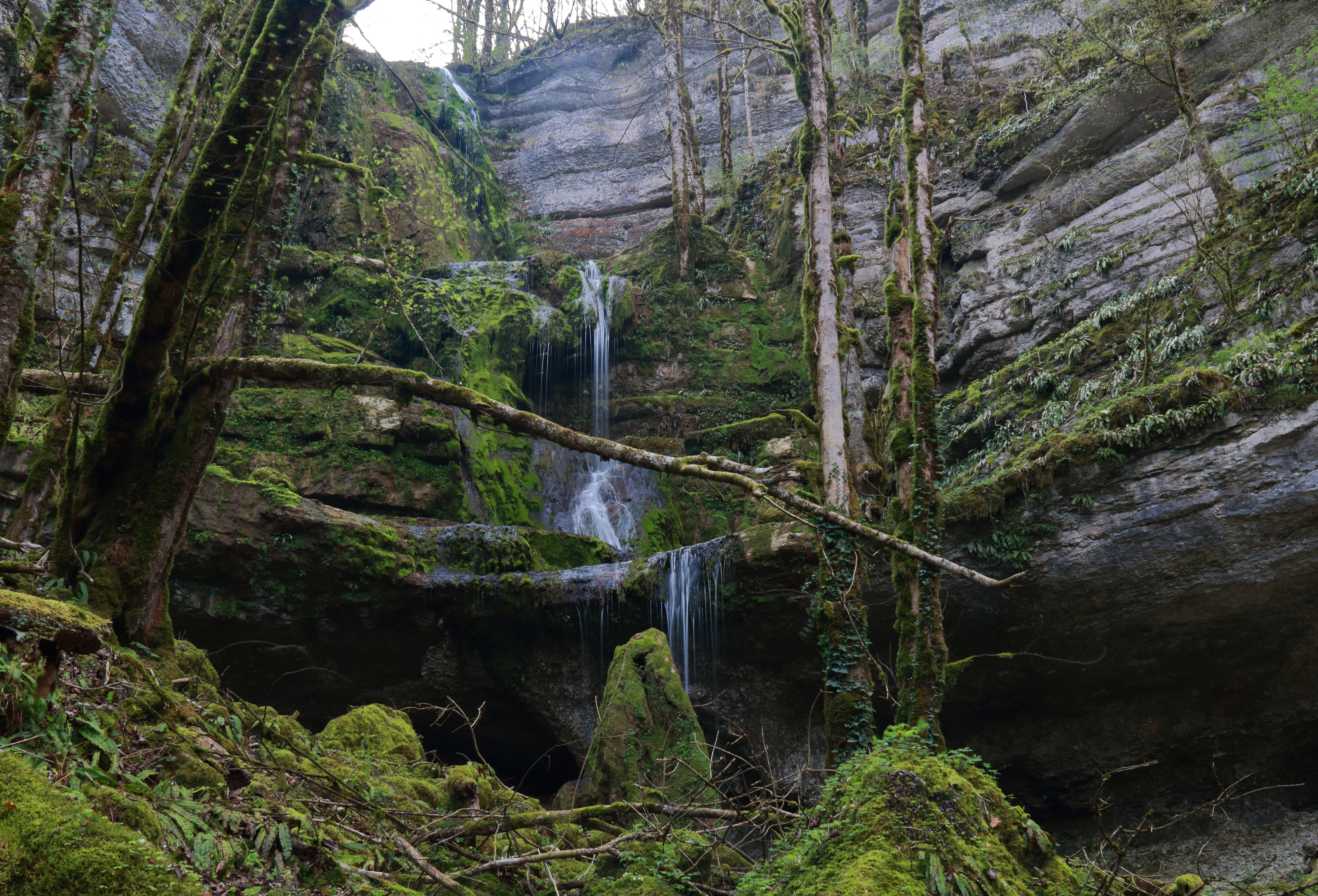 Descarga gratuita de fondo de pantalla para móvil de Naturaleza, Cascadas, Cascada, Chorro, Tierra/naturaleza.