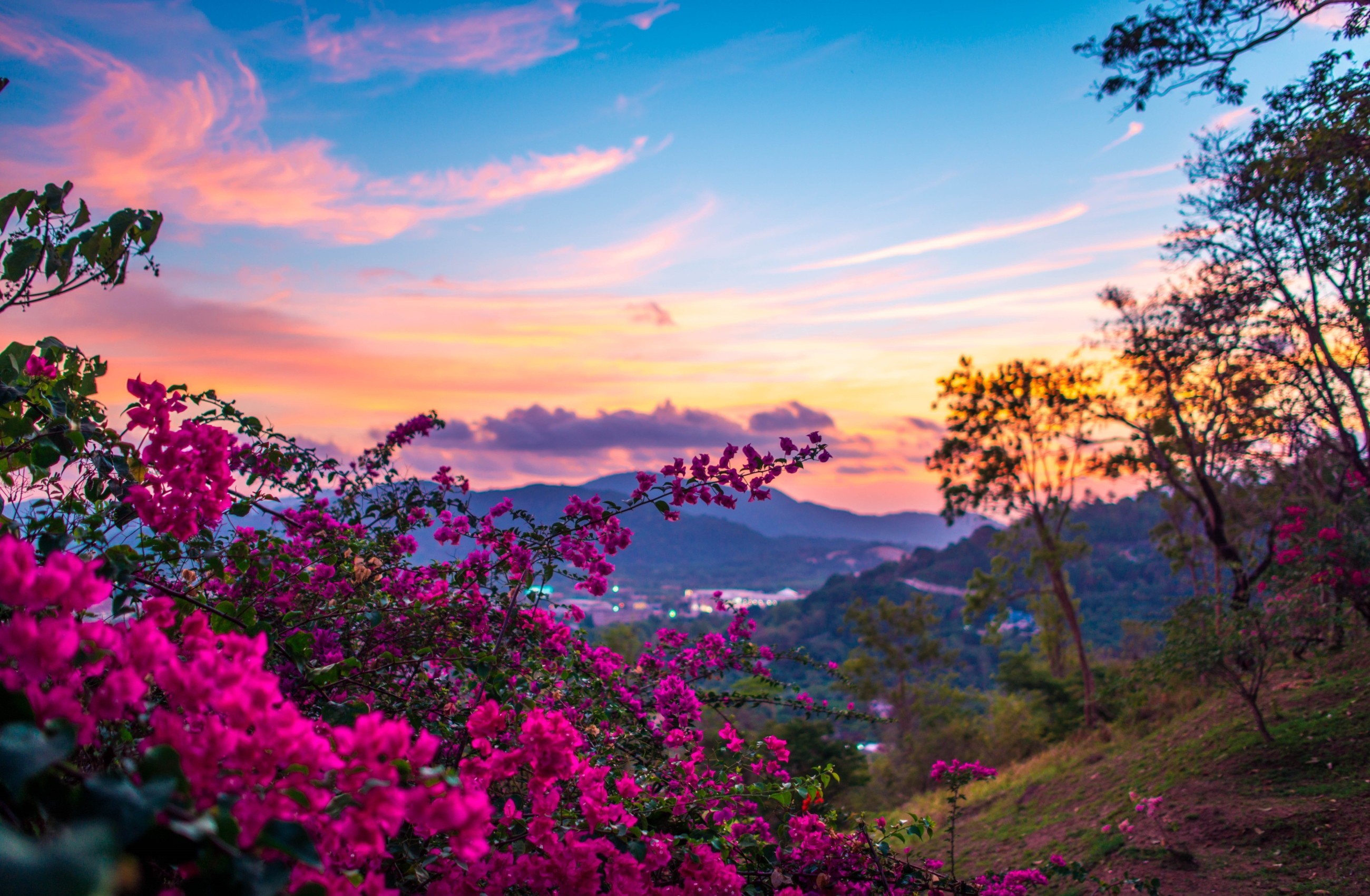 Laden Sie das Landschaft, Fotografie-Bild kostenlos auf Ihren PC-Desktop herunter