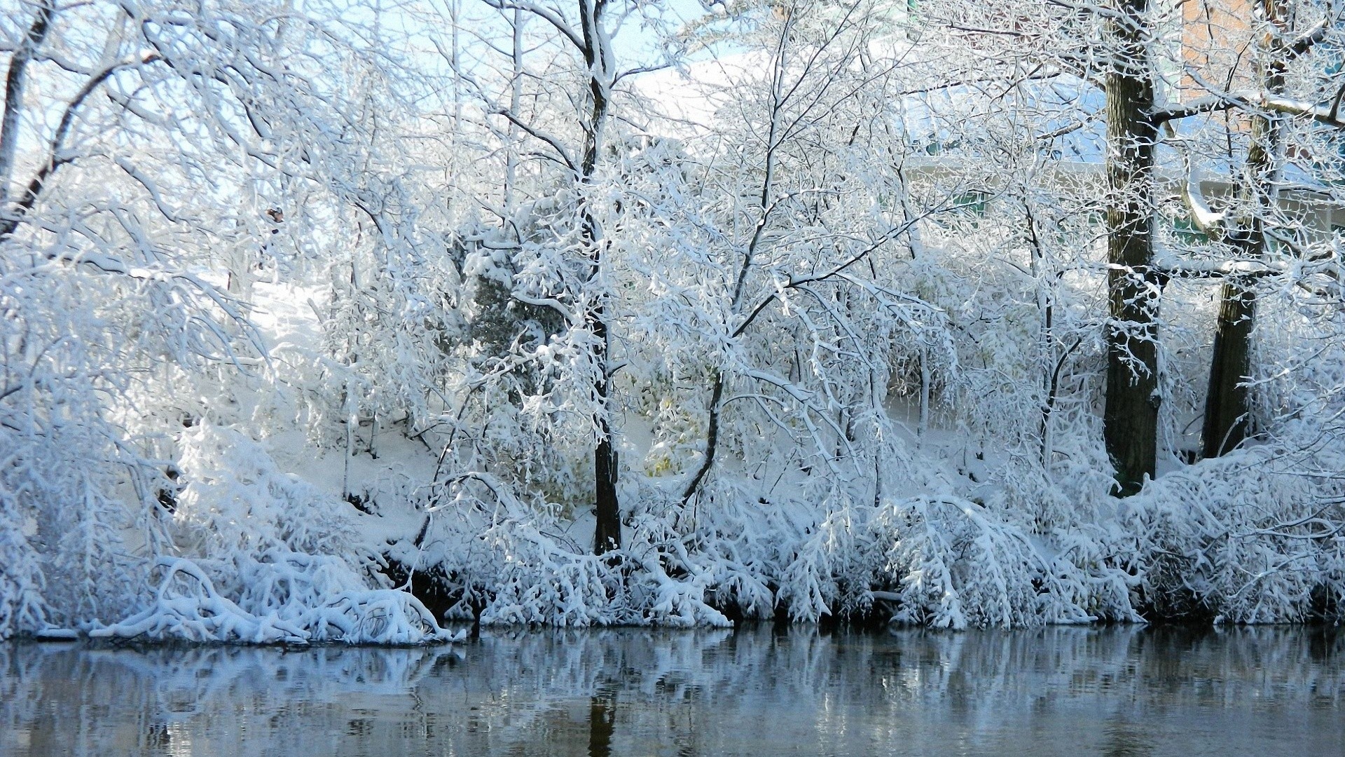 earth, winter, cold, river, snow, stream, tree