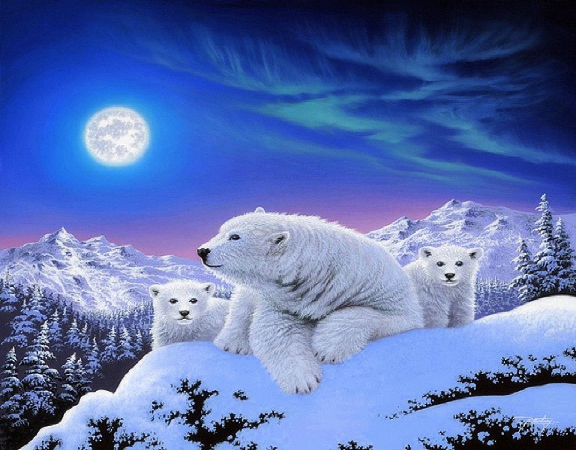Скачать картинку Животные, Зима, Луна, Снег, Медведи, Гора, Детеныш, Полярный Медведь в телефон бесплатно.