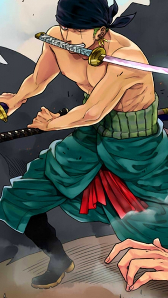 Descarga gratuita de fondo de pantalla para móvil de Animado, One Piece, Roronoa Zoro, Sanji (Una Pieza).