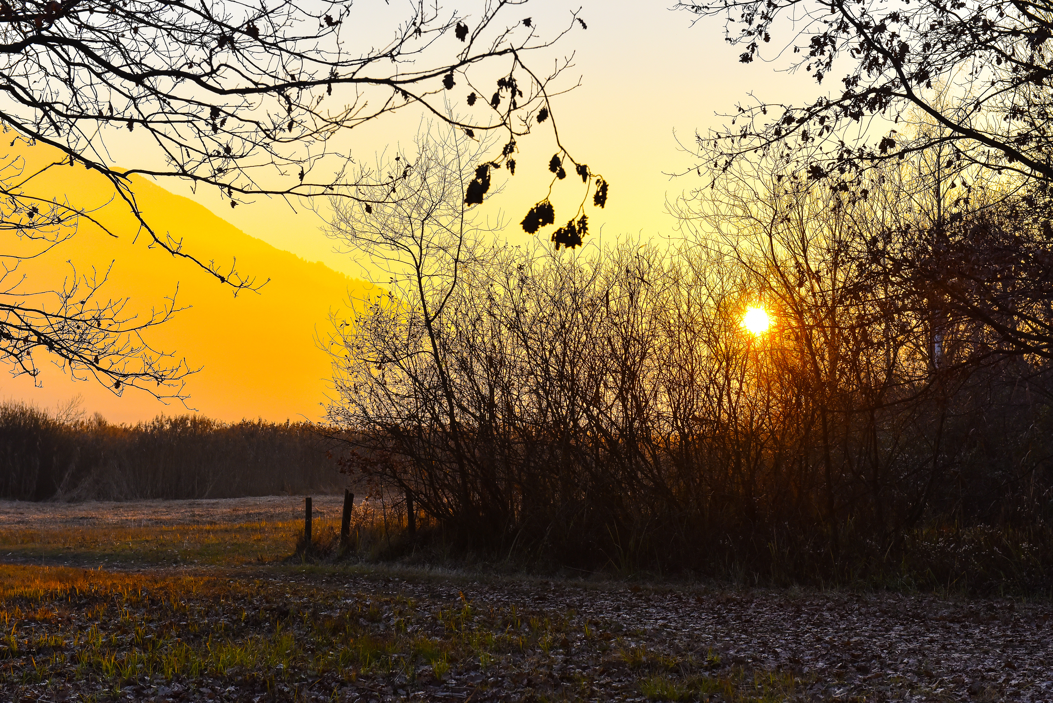 Descarga gratis la imagen Otoño, Tierra/naturaleza en el escritorio de tu PC