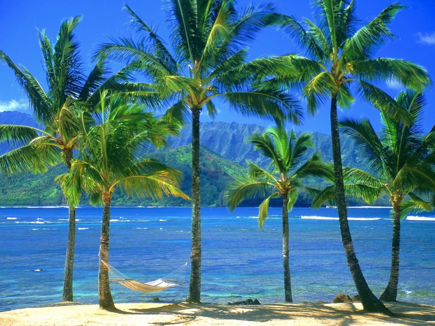 Скачать обои бесплатно Пляж, Деревья, Пейзаж, Пальмы, Море картинка на рабочий стол ПК