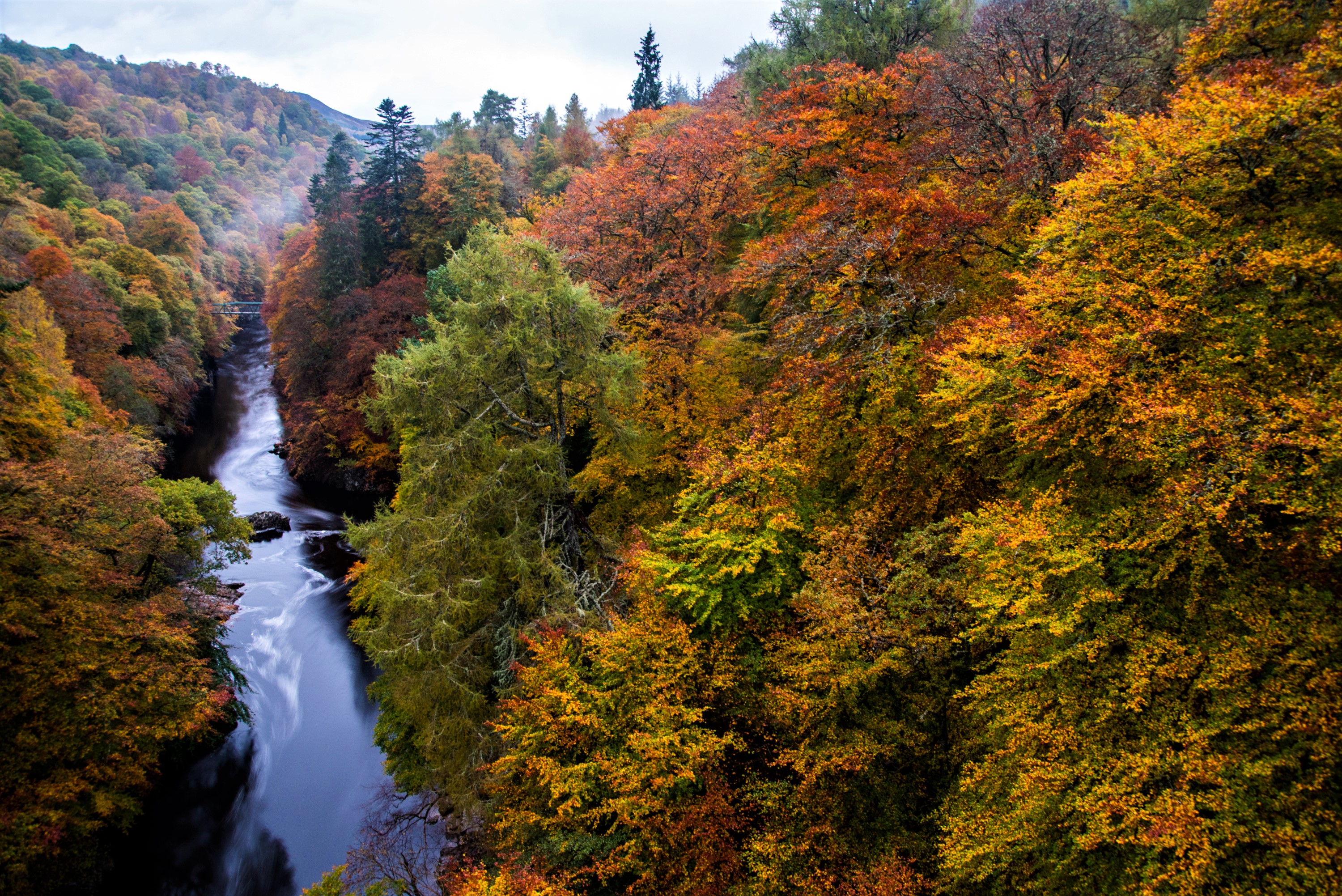 Handy-Wallpaper Herbst, Wald, Fluss, Erde/natur kostenlos herunterladen.
