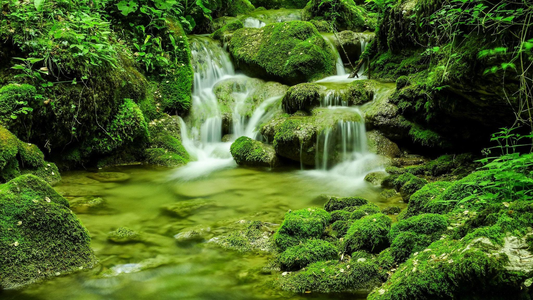 Скачать картинку Природа, Водопад, Зеленый, Мох, Ручей, Земля/природа в телефон бесплатно.