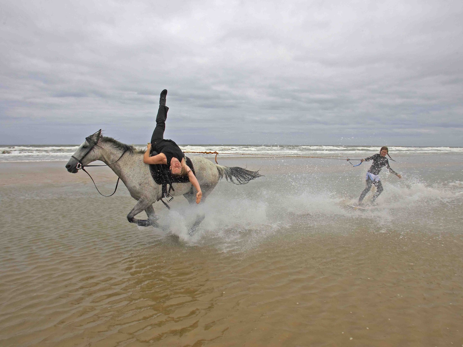 Скачать картинку Люди, Серфинг, Пляж, Океан, Лошадь, Волна, Виды Спорта в телефон бесплатно.