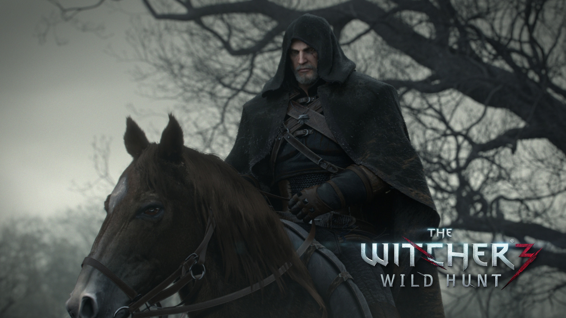 the witcher 3: wild hunt, video game, geralt of rivia, the witcher