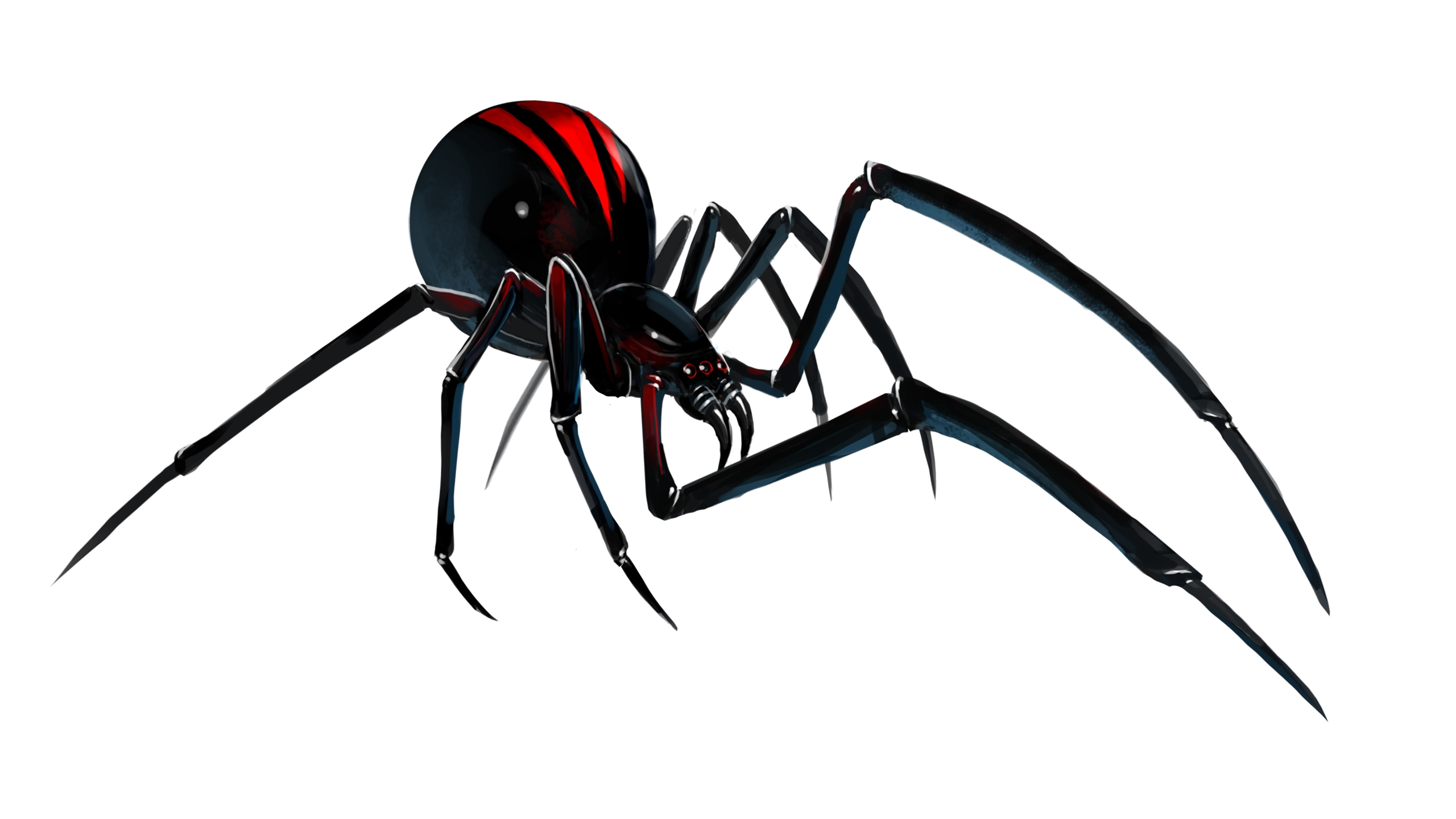 654145 descargar fondo de pantalla animales, araña de espalda roja: protectores de pantalla e imágenes gratis
