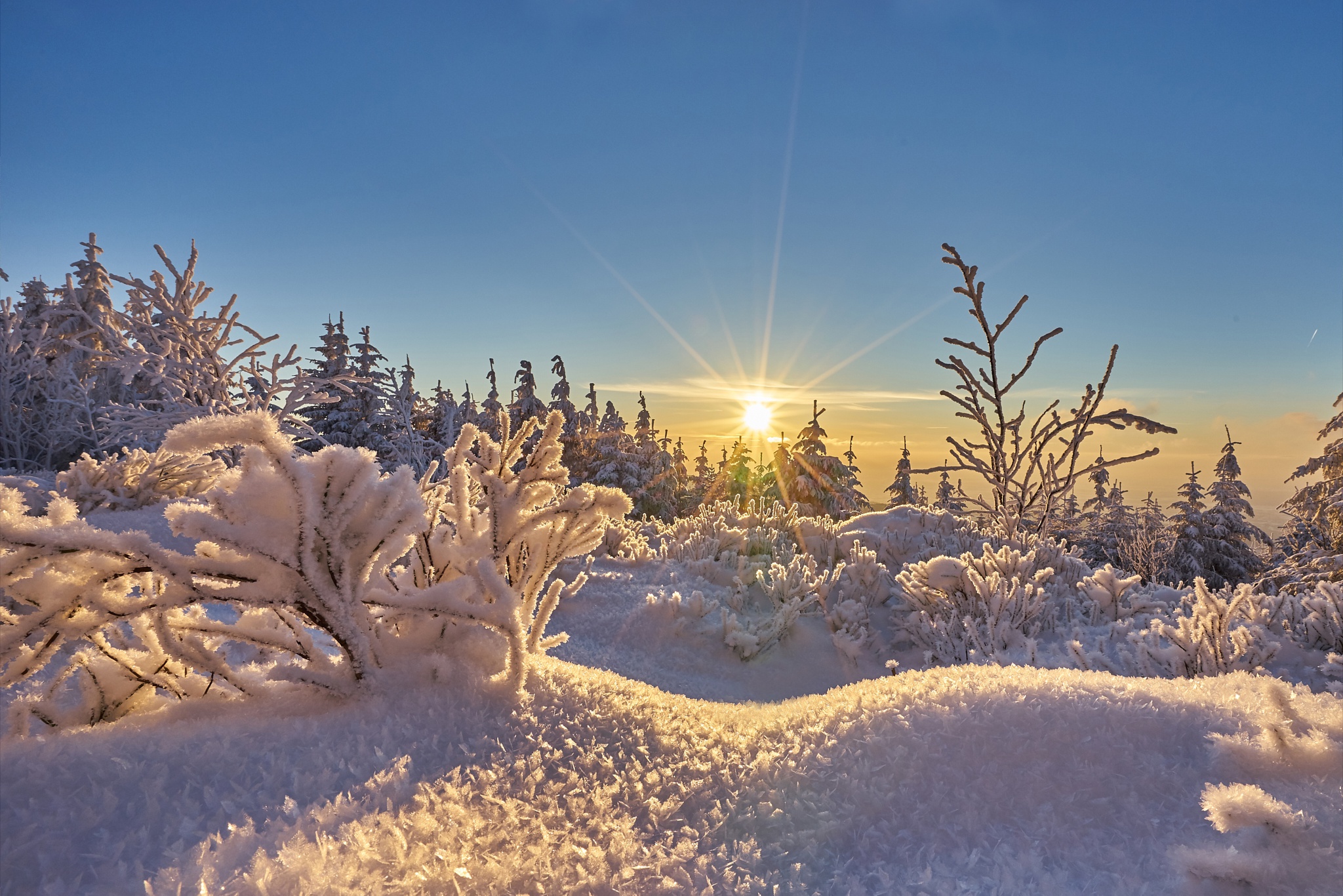 Скачать картинку Зима, Природа, Небо, Солнце, Снег, Земля/природа в телефон бесплатно.