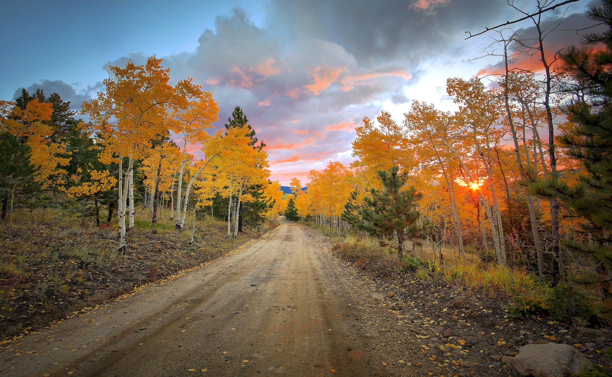 Free download wallpaper Road, Tree, Fall, Man Made, Dirt Road on your PC desktop