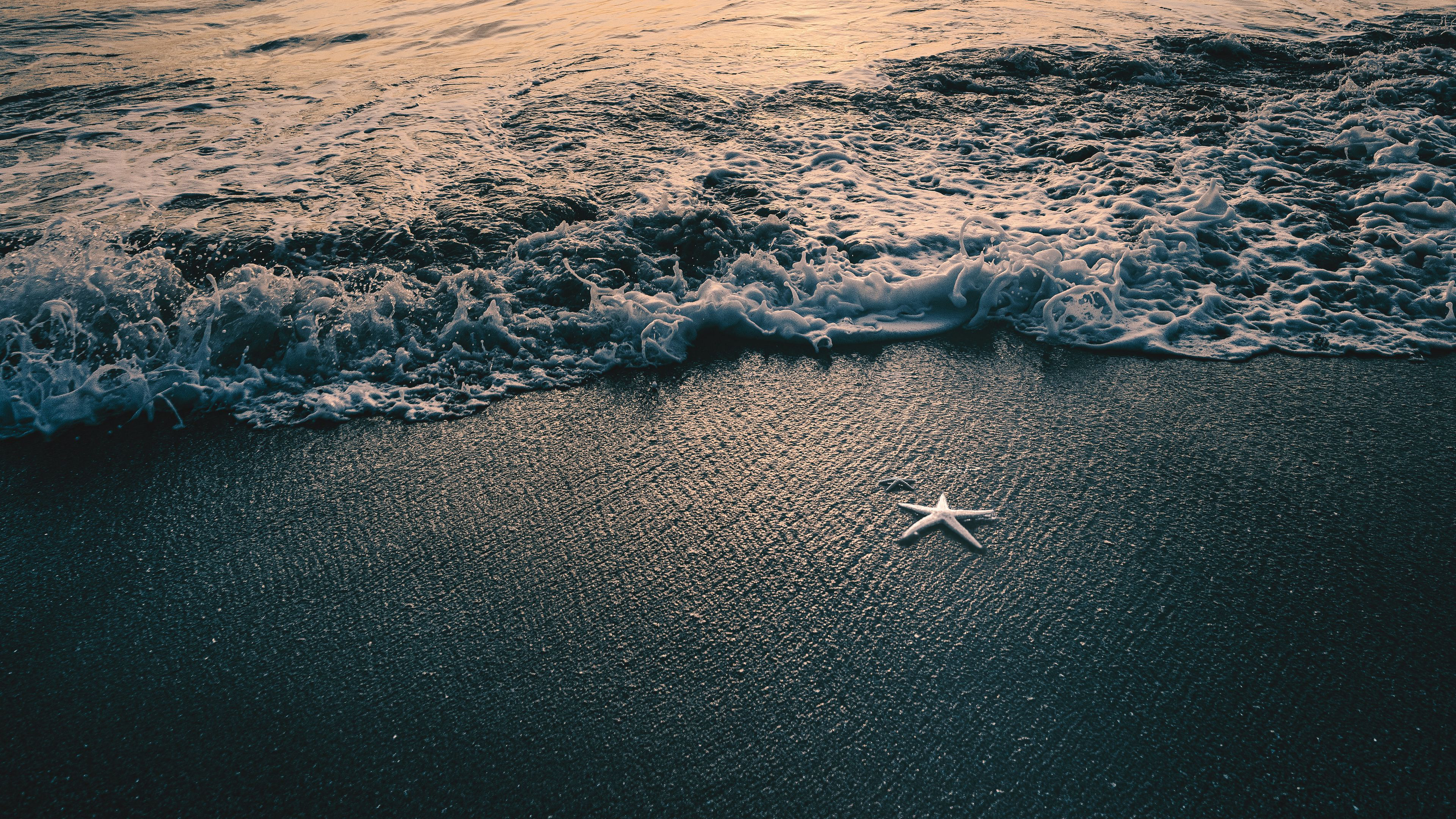 Free download wallpaper Water, Beach, Sand, Starfish, Earth on your PC desktop