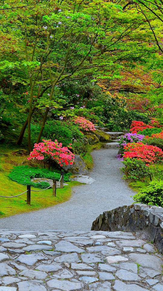 無料モバイル壁紙木, ブッシュ, 花, 公園, 春, 写真撮影をダウンロードします。