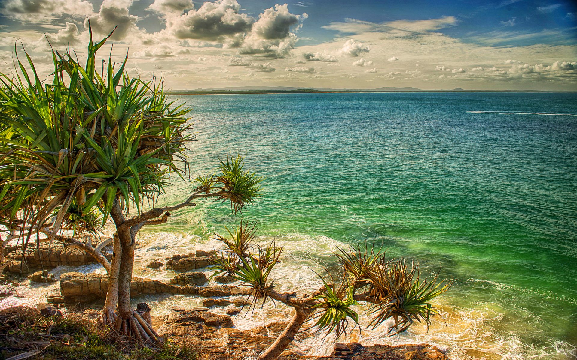 Free download wallpaper Sea, Coast, Ocean, Earth, Coastline, Australia, Palm Tree on your PC desktop