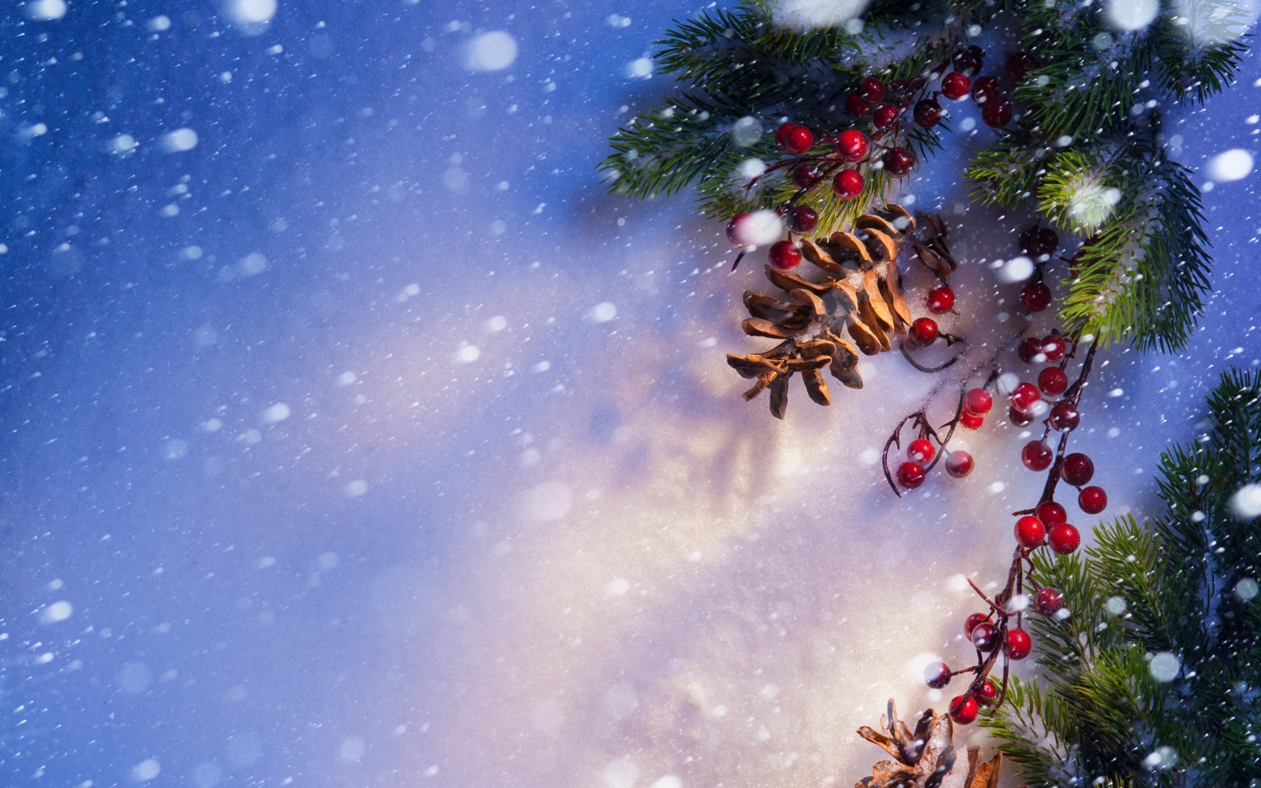 Laden Sie das Tannenbaum, Bilder, Winter-Bild kostenlos auf Ihren PC-Desktop herunter