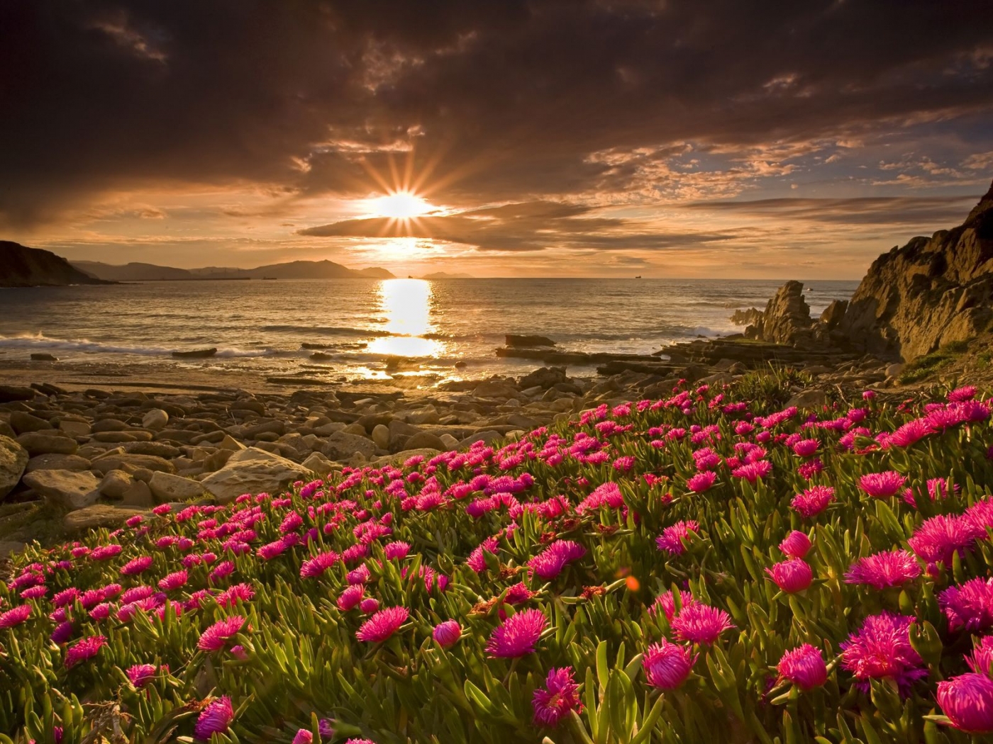Free download wallpaper Flowers, Sunset, Landscape, Beach on your PC desktop