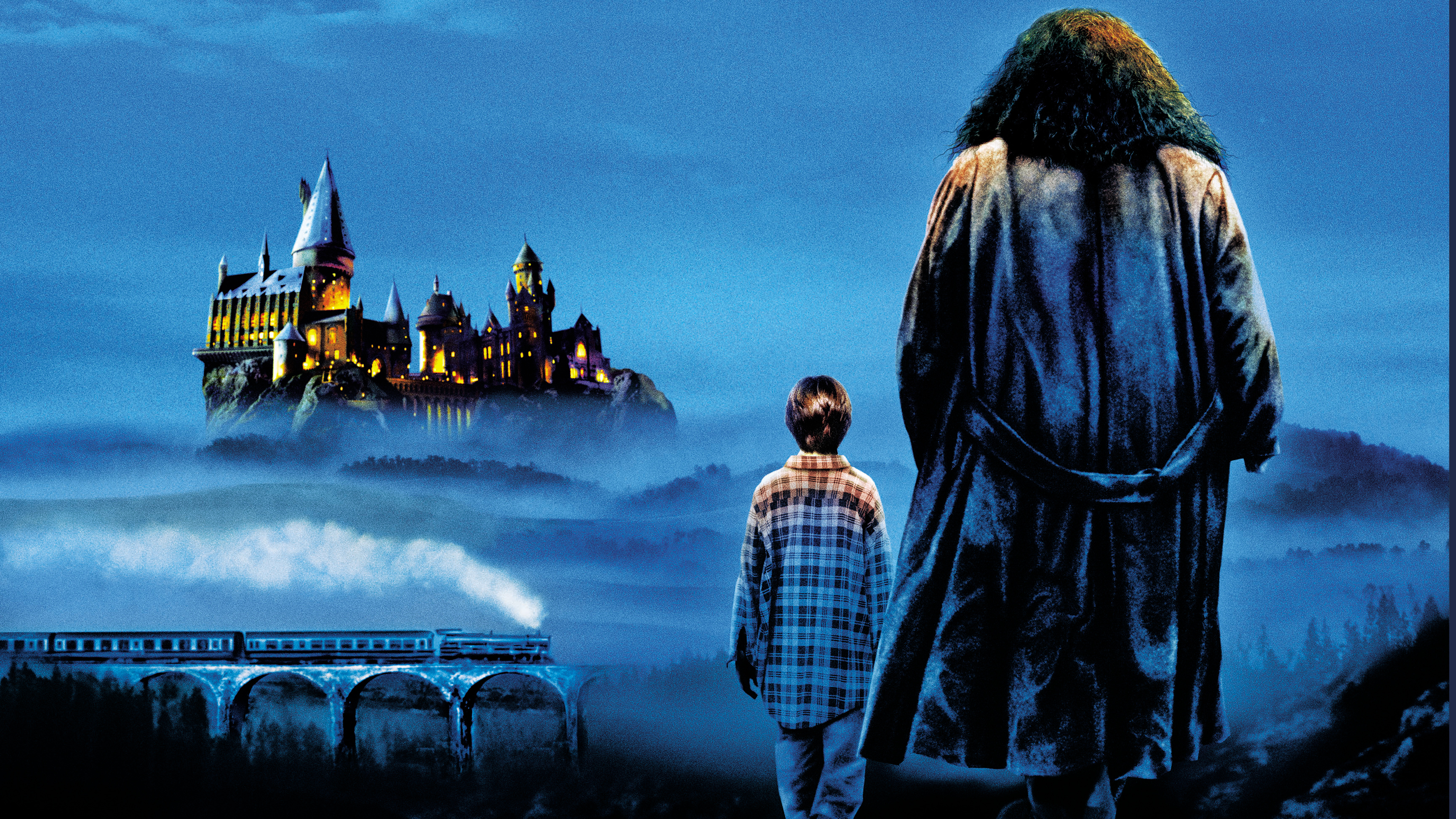 movie, harry potter and the philosopher's stone, harry potter, rubeus hagrid