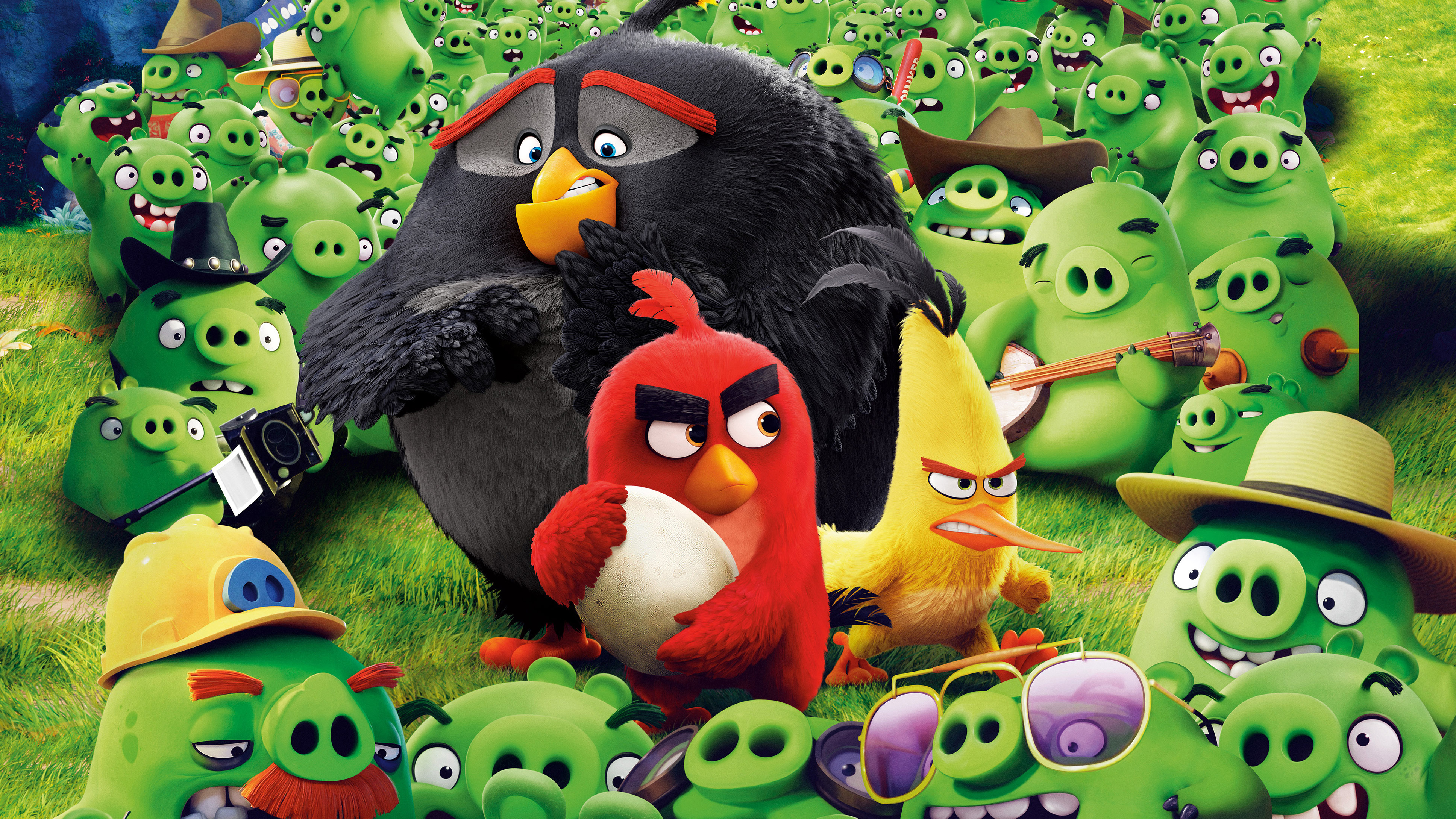 angry birds, movie, the angry birds movie