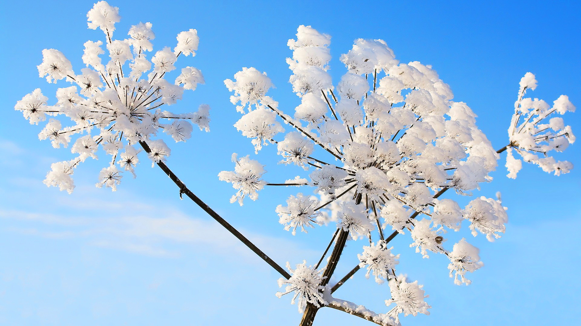 Скачать картинку Зима, Природа, Небо, Снег, Синий, Белый, Земля/природа в телефон бесплатно.