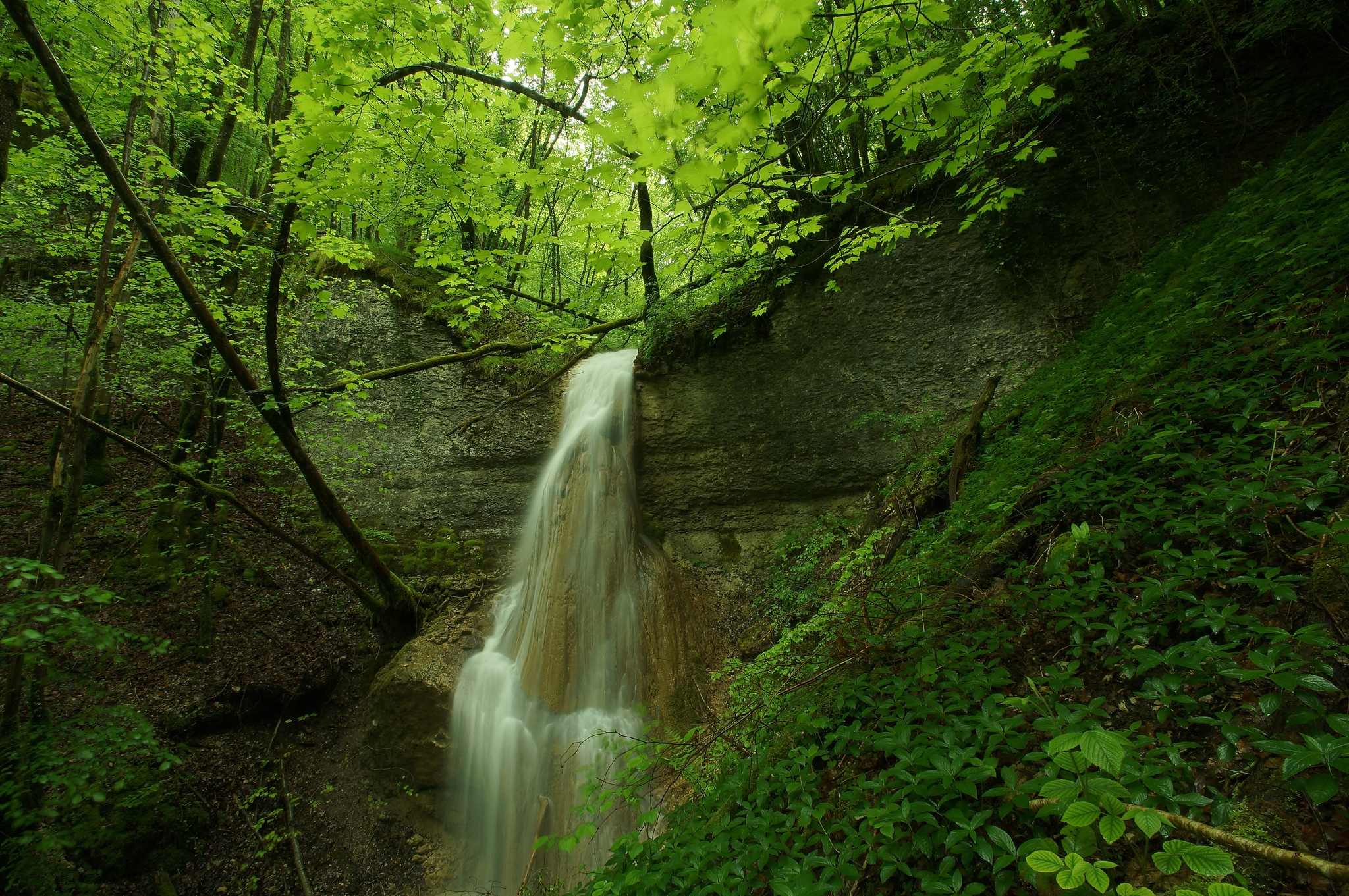Handy-Wallpaper Wasserfälle, Wasserfall, Wald, Baum, Erde/natur kostenlos herunterladen.