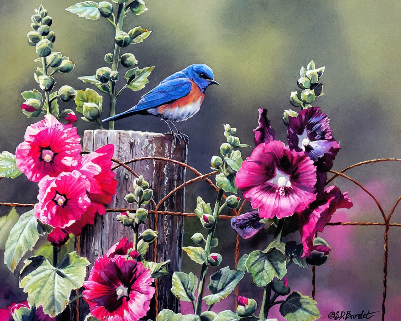 birds, art, plants, flowers, animals, pictures Full HD