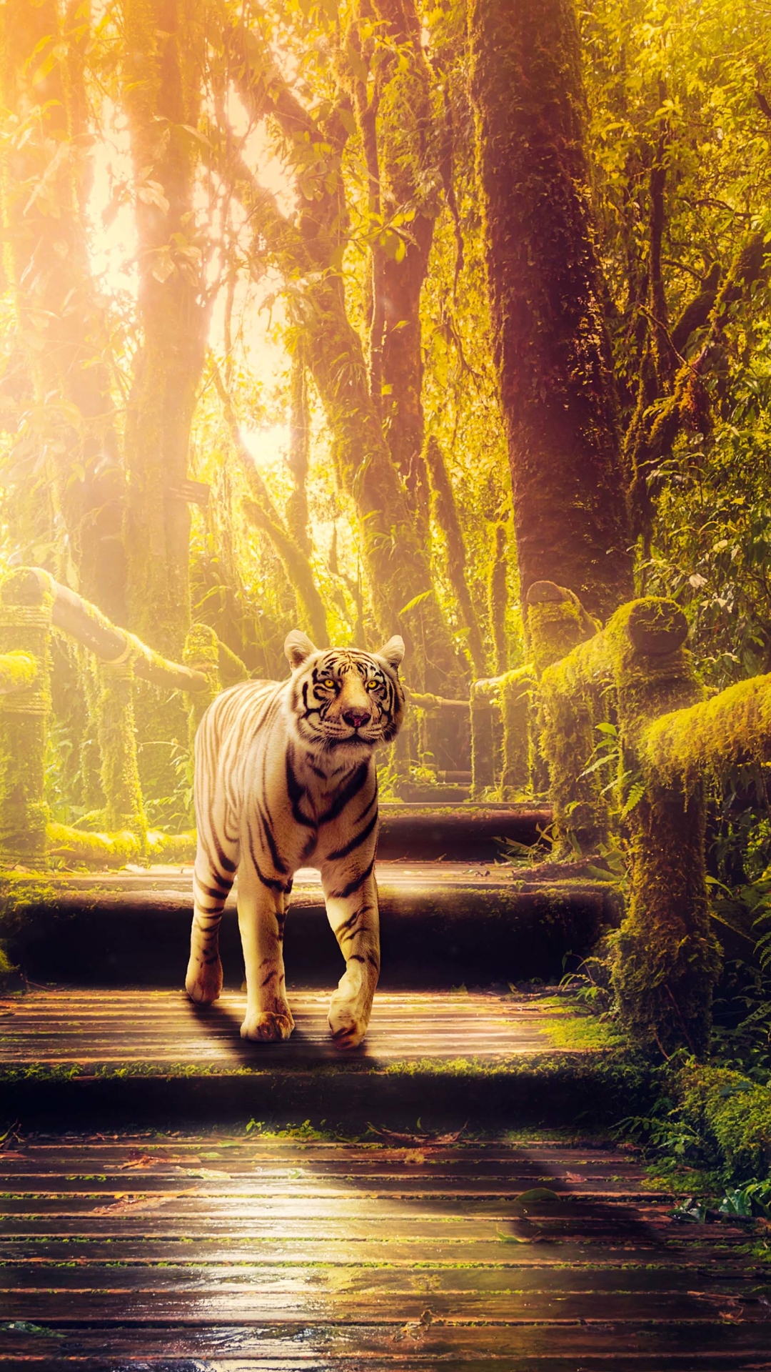 Download mobile wallpaper Cats, Tiger, Animal for free.