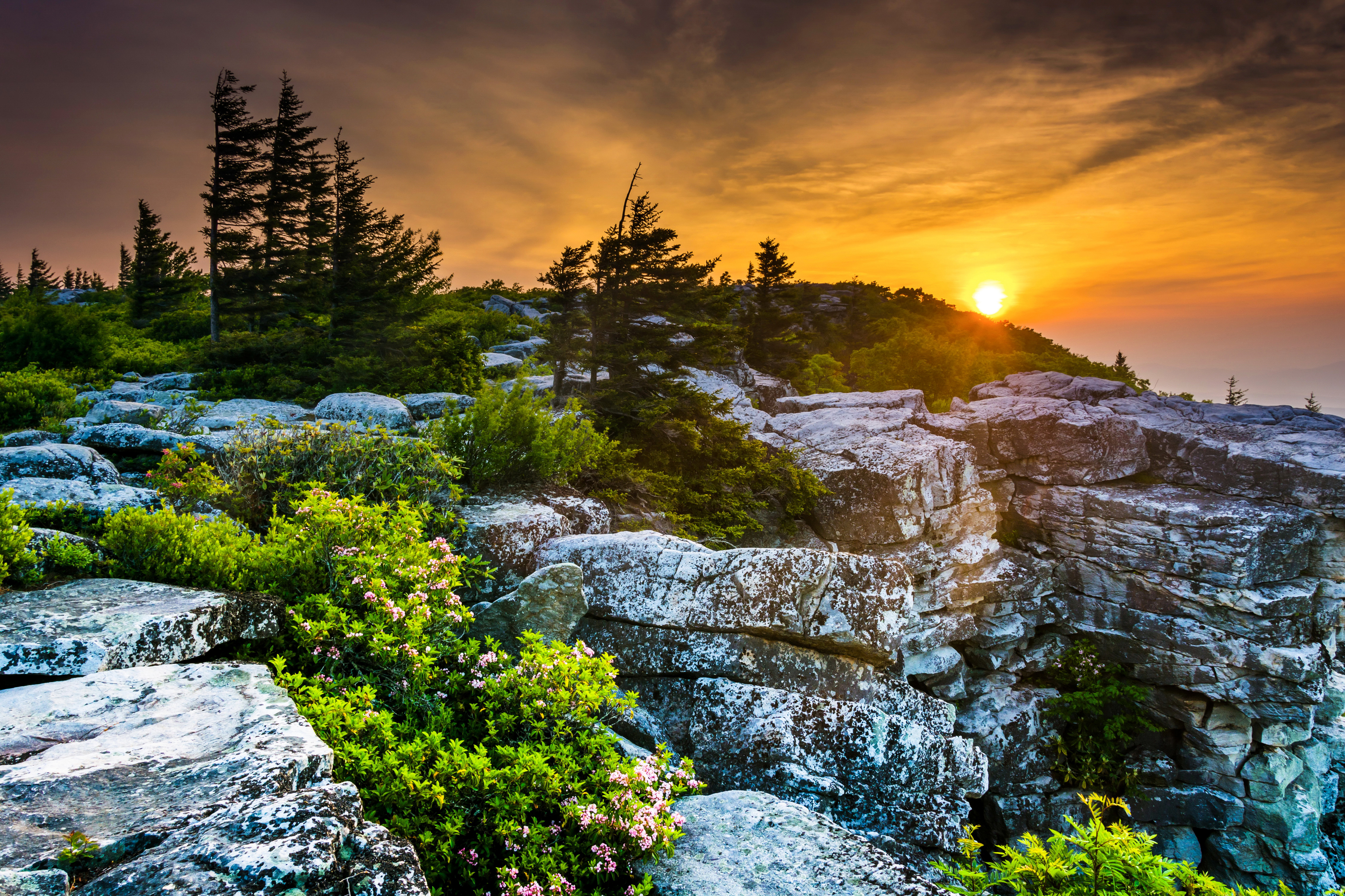 Laden Sie das Natur, Sonnenaufgang, Erde/natur-Bild kostenlos auf Ihren PC-Desktop herunter