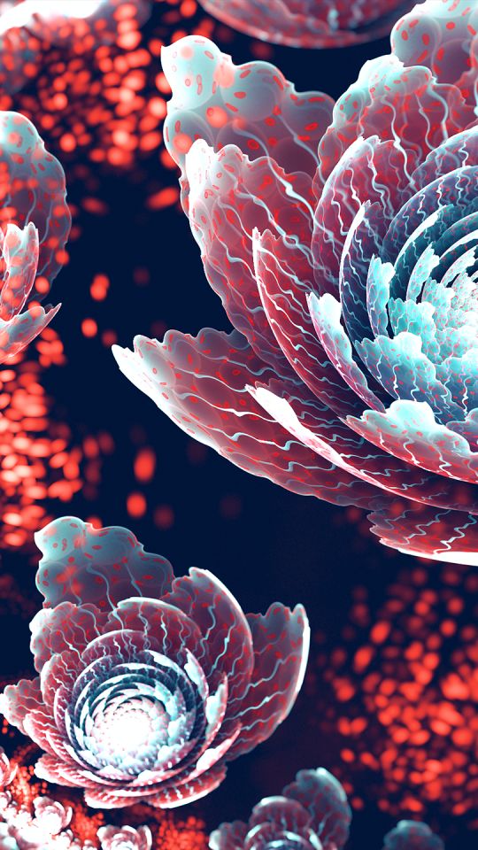 Download mobile wallpaper Abstract, Flower, Light, Fractal, Colorful for free.