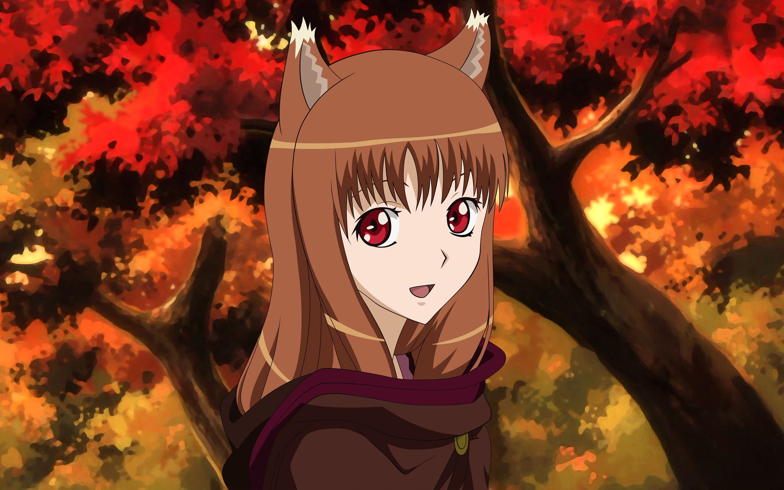 animal ears, anime, spice and wolf, brown hair, face, holo (spice & wolf), red eyes