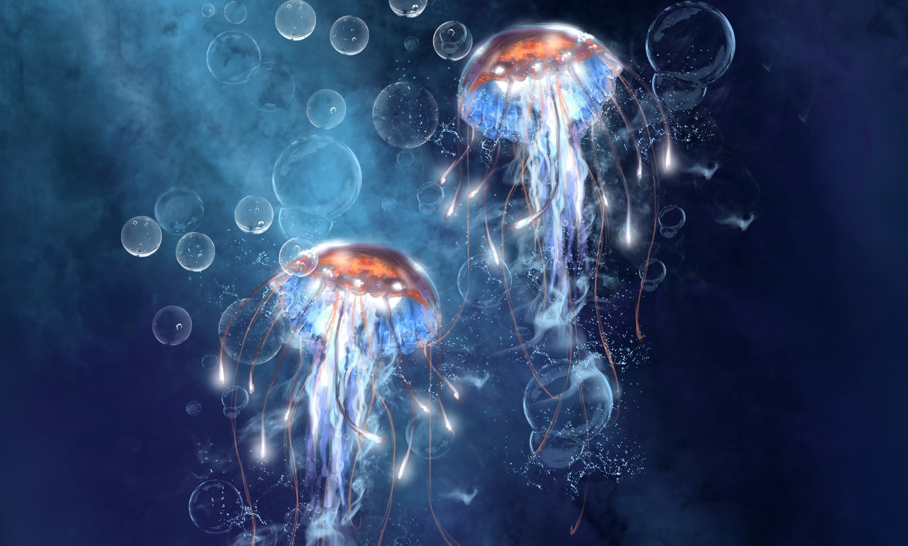 jellyfish, animal, bubble, fishes