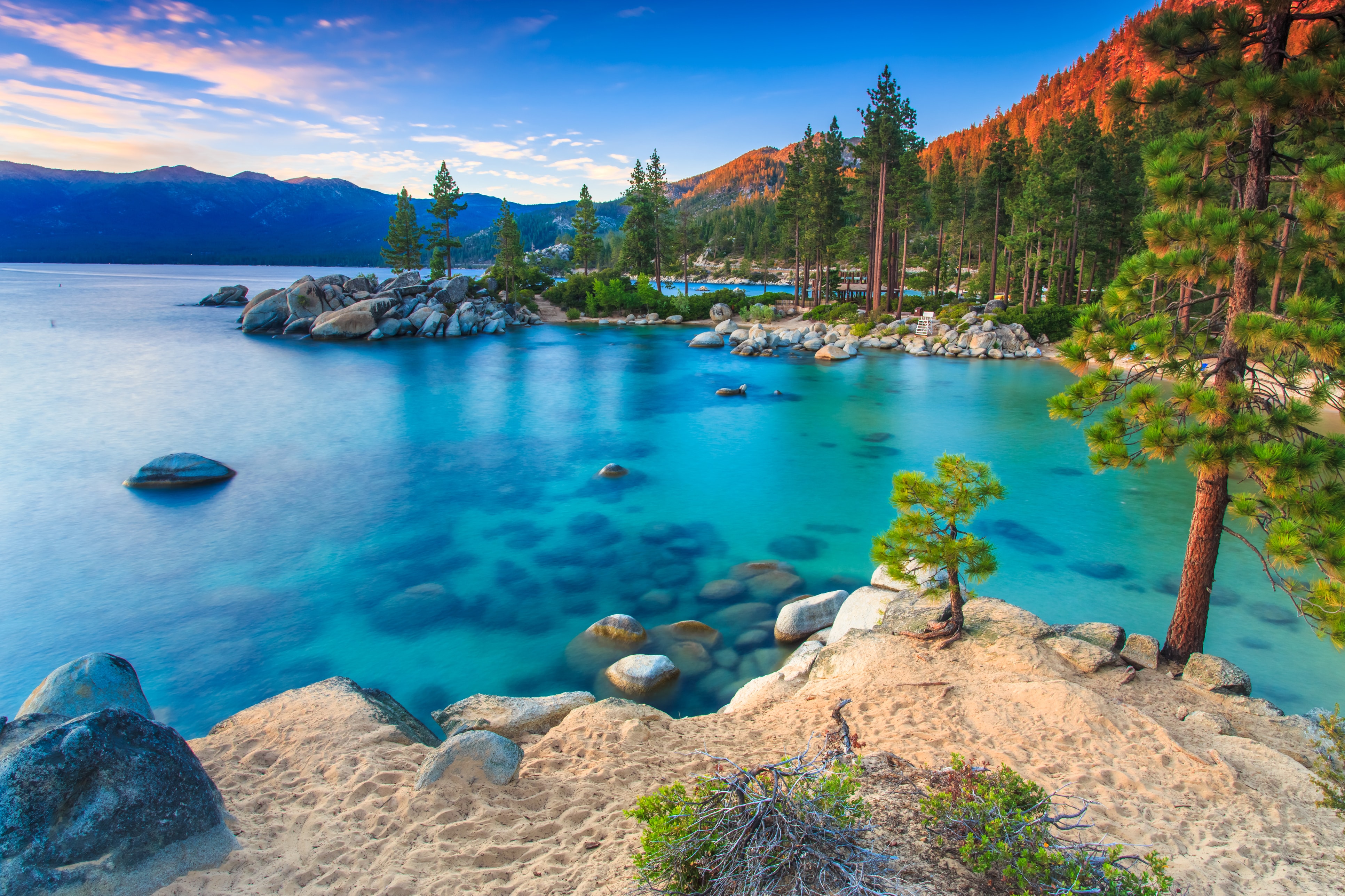 421854 Bild herunterladen erde/natur, lake tahoe, see, baum, türkis, seen - Hintergrundbilder und Bildschirmschoner kostenlos
