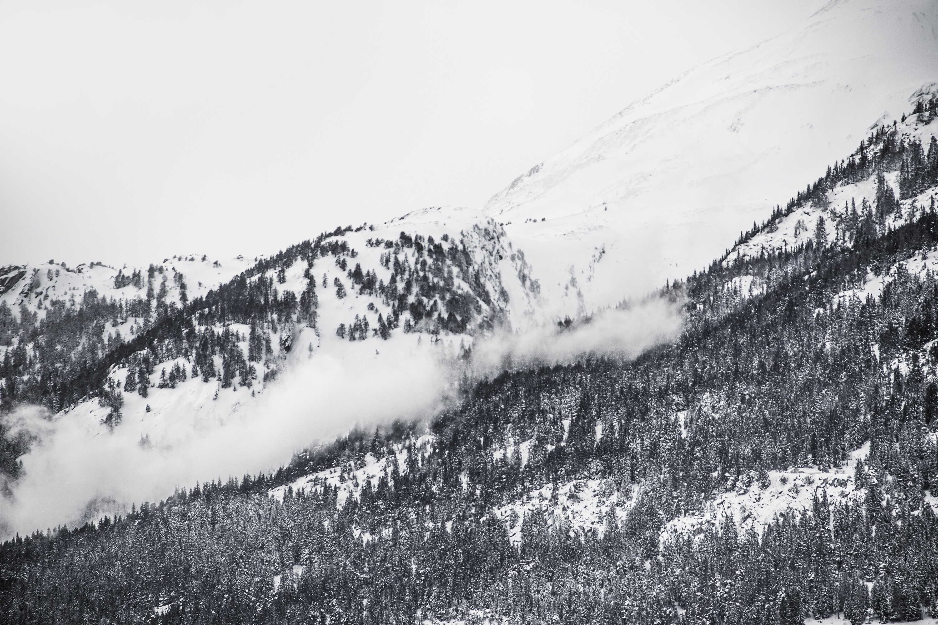 PCデスクトップに冬, 自然, 雪, 山, 森, 地球画像を無料でダウンロード