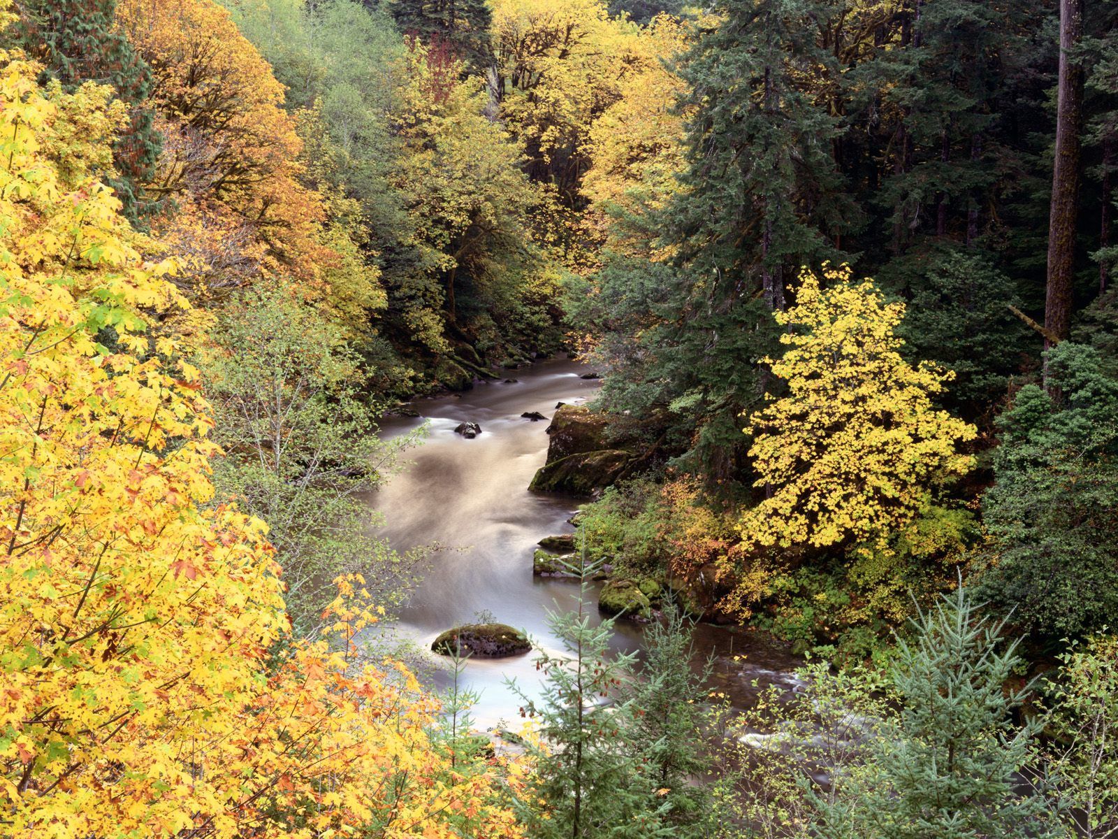 Laden Sie das Flüsse, Wasserfall, Natur, Bäume, Fließen, Fluss-Bild kostenlos auf Ihren PC-Desktop herunter