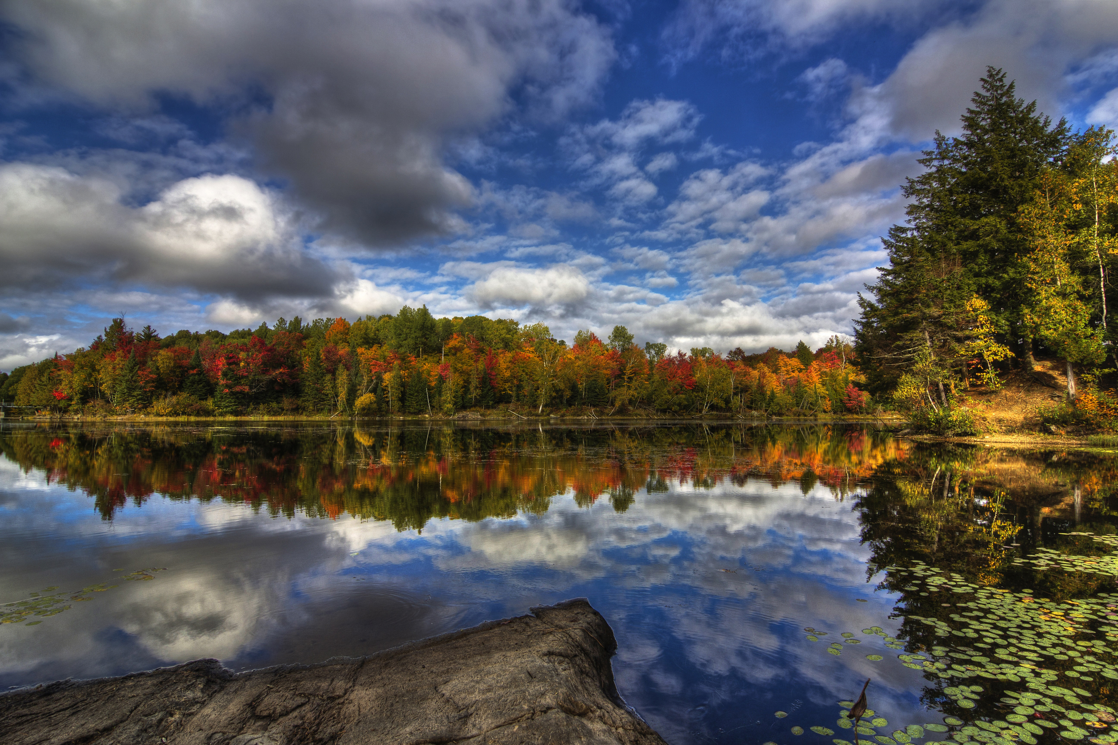 Download mobile wallpaper Nature, Lake, Reflection, Forest, Earth, Cloud for free.