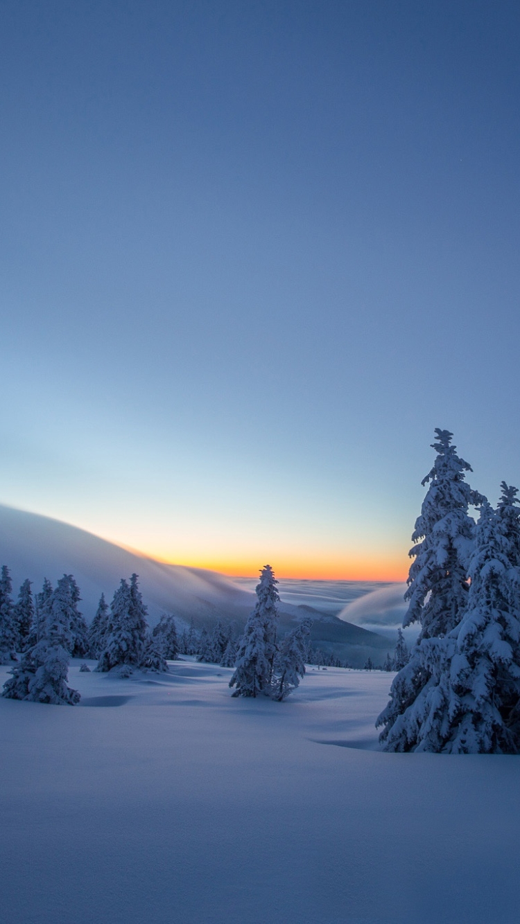 Download mobile wallpaper Landscape, Winter, Nature, Snow, Tree, Sunrise, Earth for free.