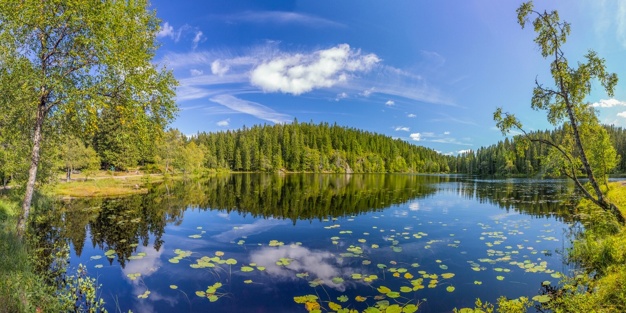Download mobile wallpaper Landscape, Summer, Lakes, Lake, Reflection, Forest, Earth for free.